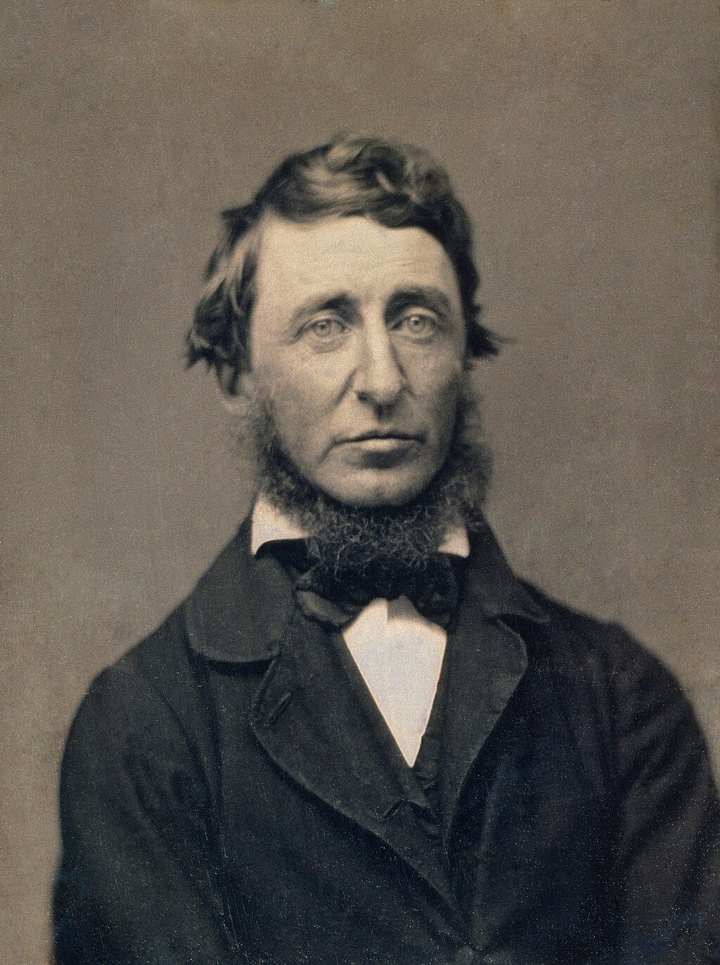 Quotes about service learning: portrait of poet and philosopher Henry David Thoreau