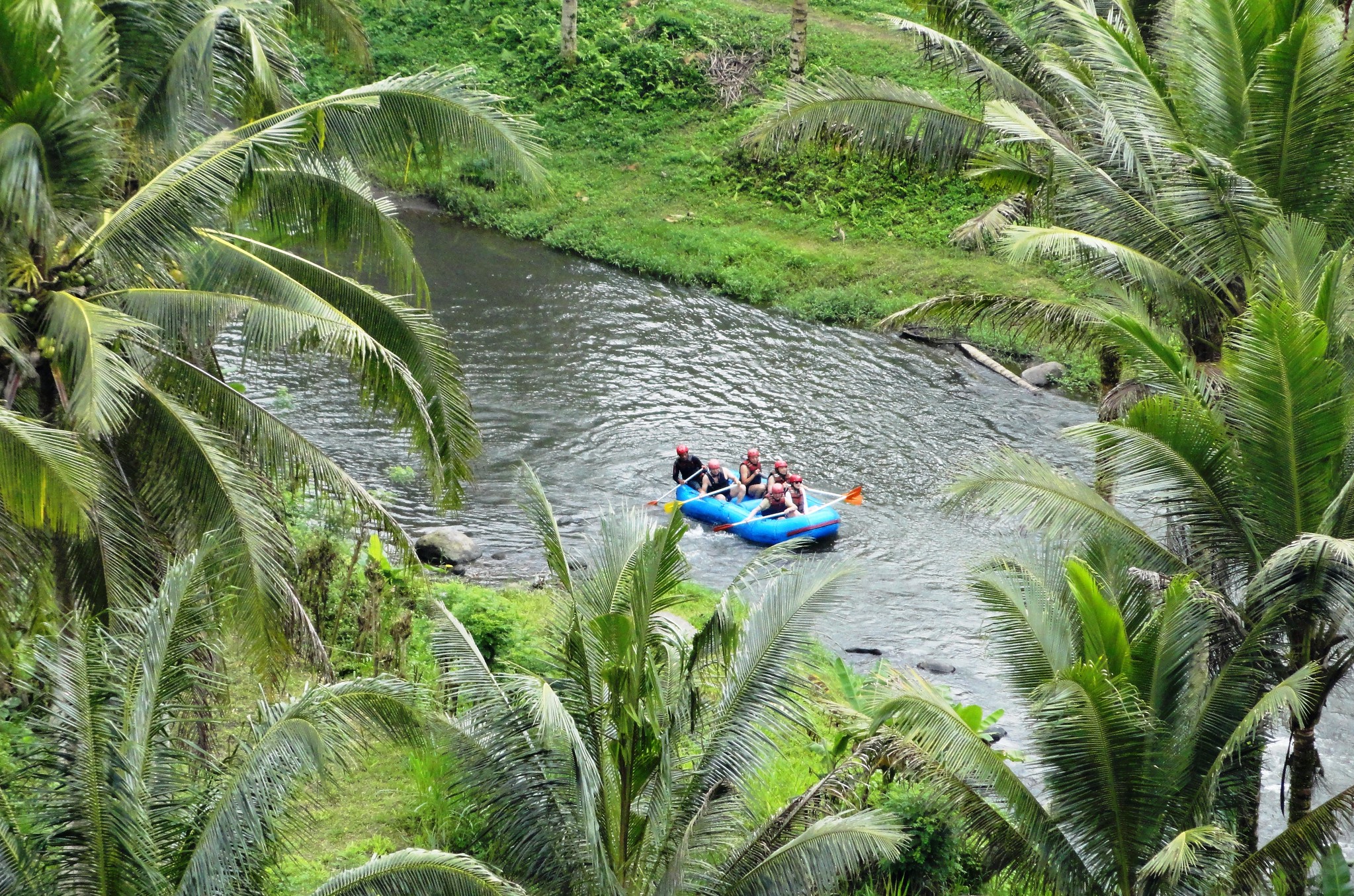 A school trip stops at a calm river bordered by lush palm trees as students raft