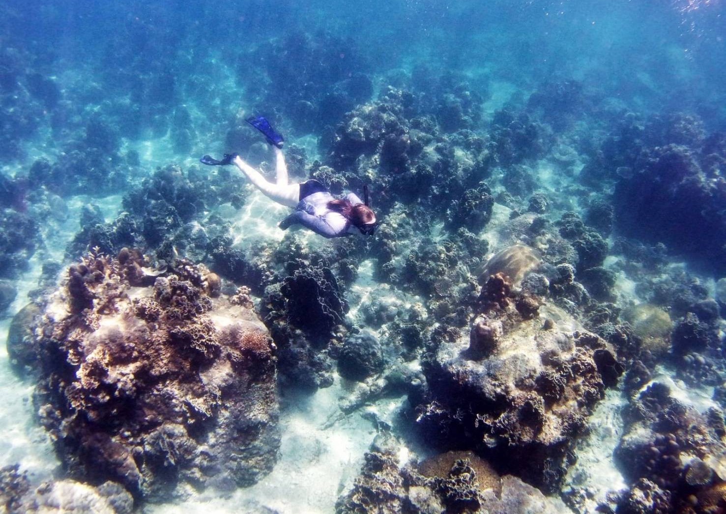 Student snorkeling underwater with view of coral reef.