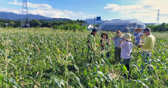 Teens gather in a cornfield with a greenhouse and mountains in the background