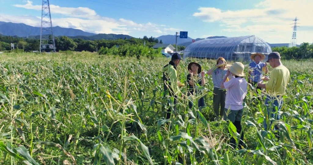 Teen travelers in sun hats stand in a cornfield with a farmer near Kakunodate, Japan, with a greenhouse and mountains behind them.