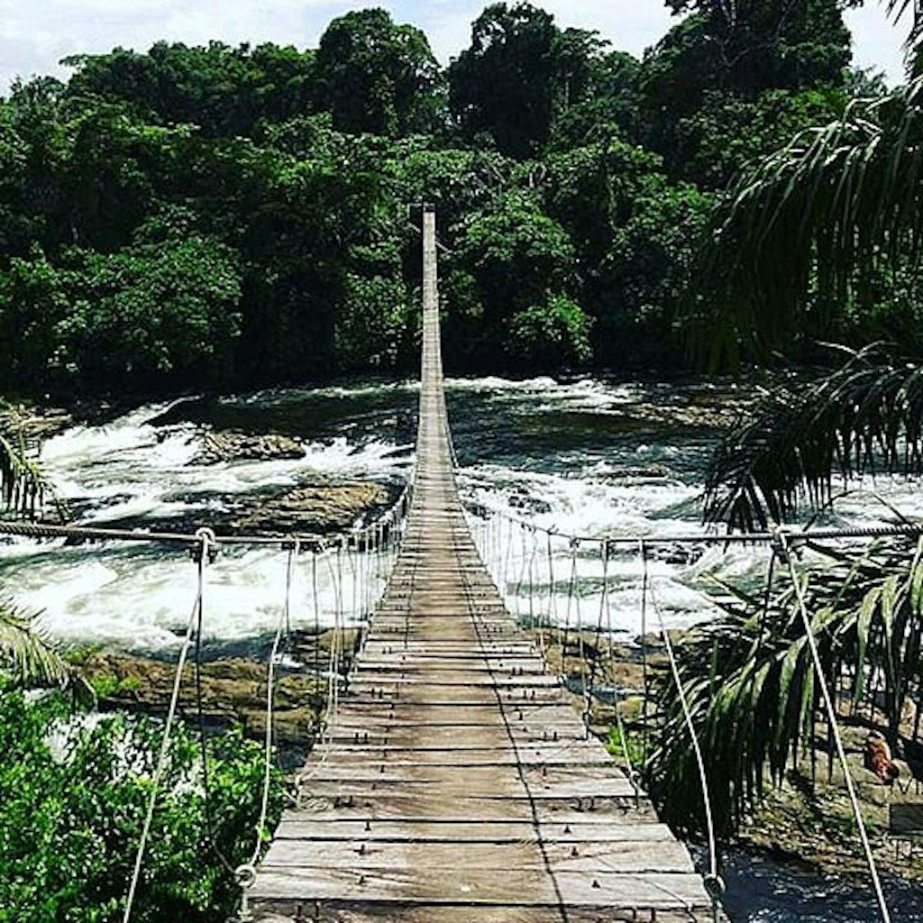 A bridge crosses a river in Cameroon's Korup Forest.