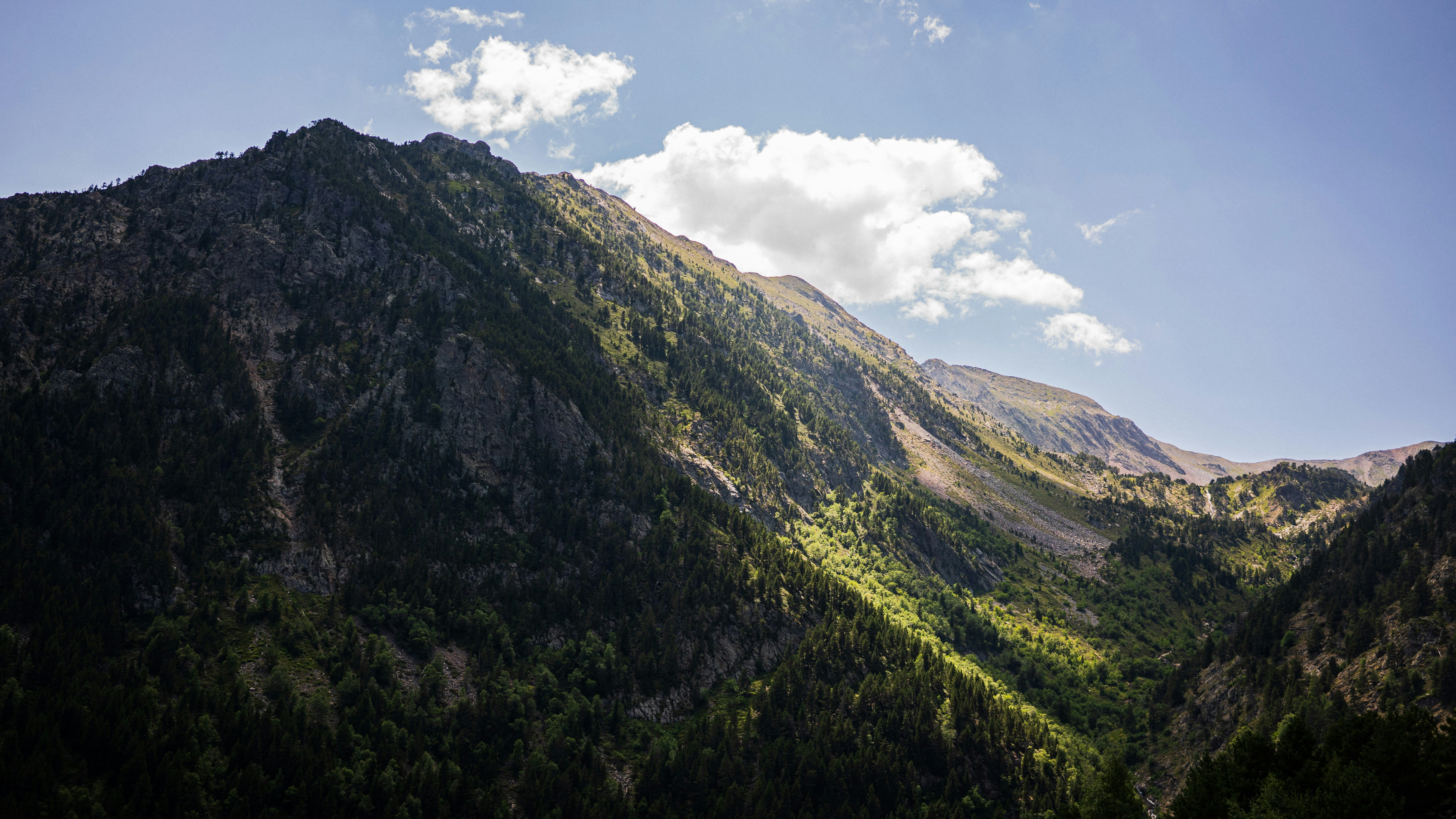 A forested ridge falls away into a deep valley, one slope in sunlight and the other in shadow.
