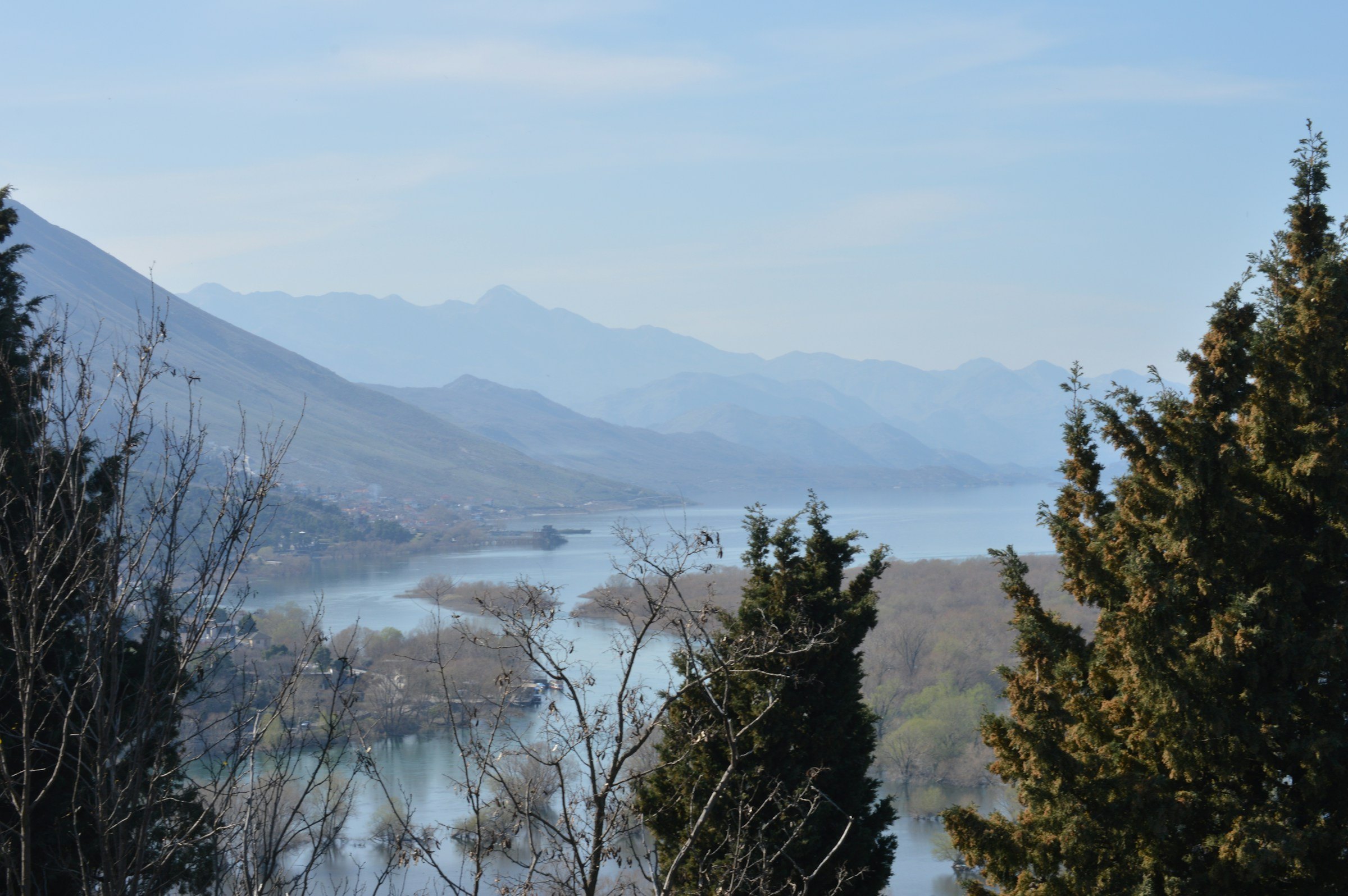 Misty mountains above a still lake with trees in the foreground.