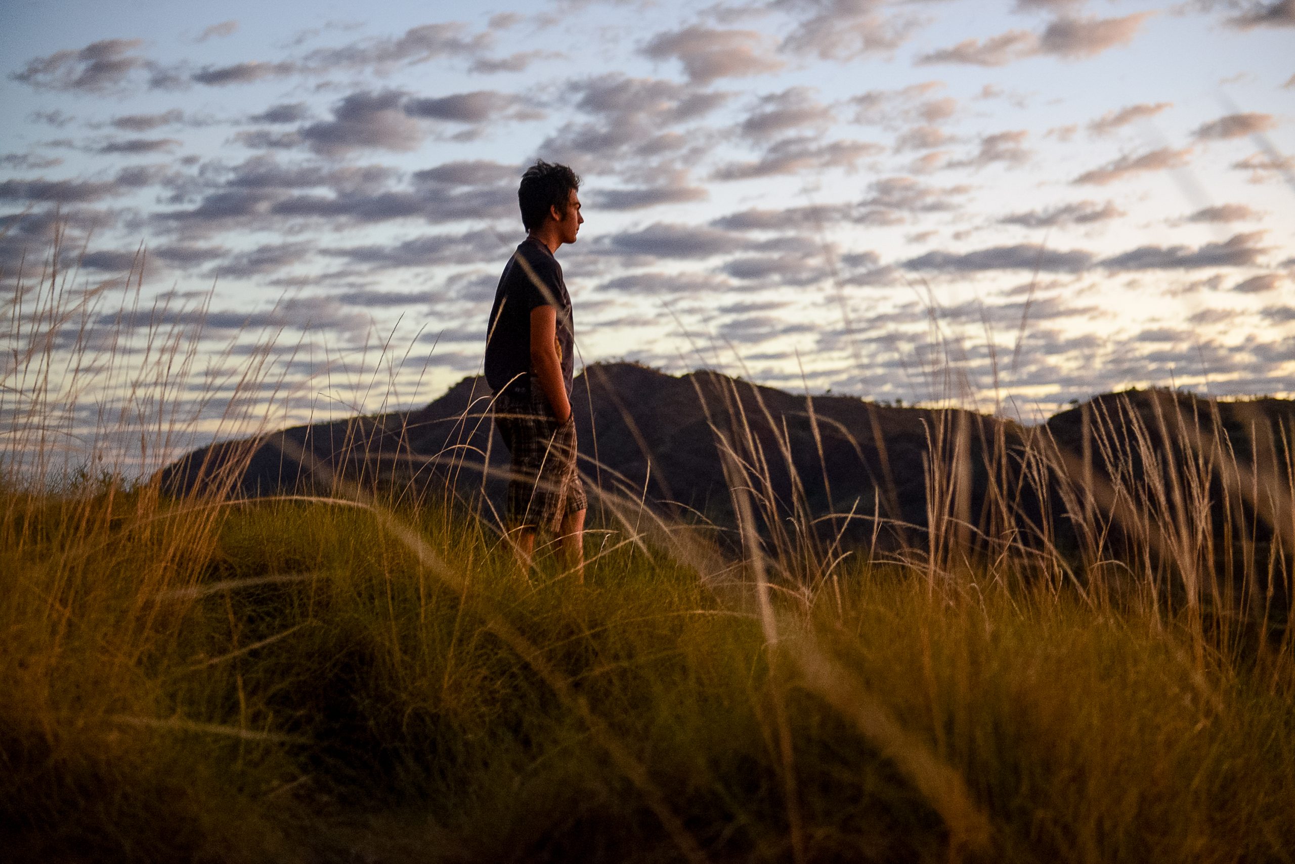 A school trip pauses amid tall grass at dusk, with distant hills silhouetted behind