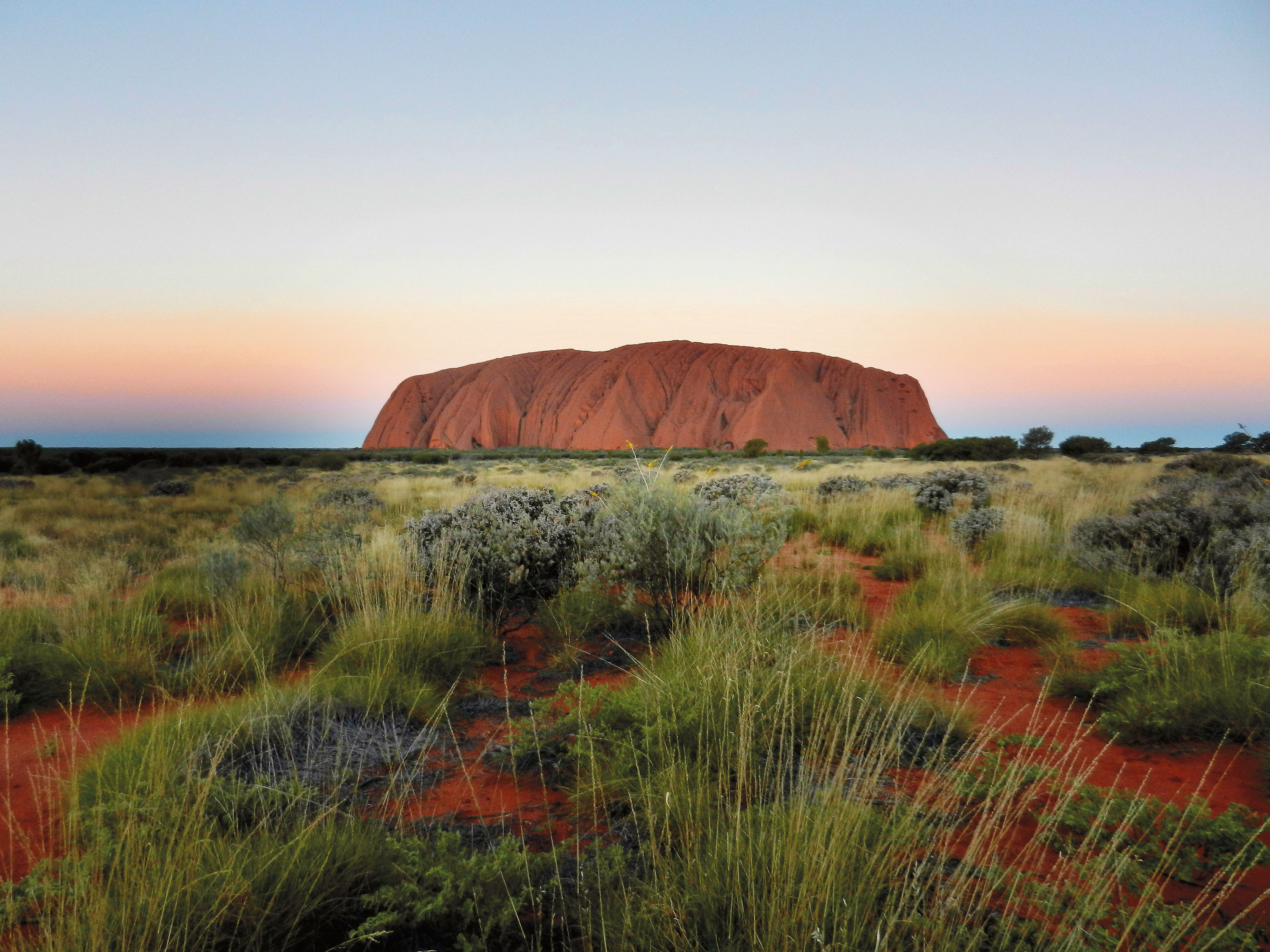 Uluru at sunset with surrounding greenery and a clear sky.