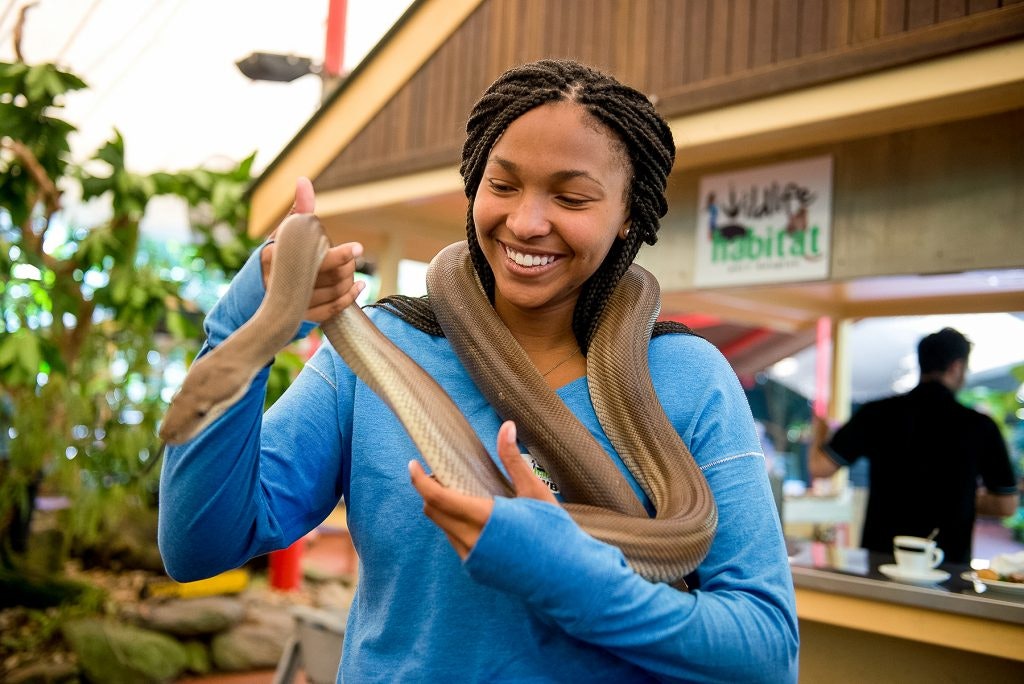 Rustic Pathway students holds a snake. fun facts about australia
