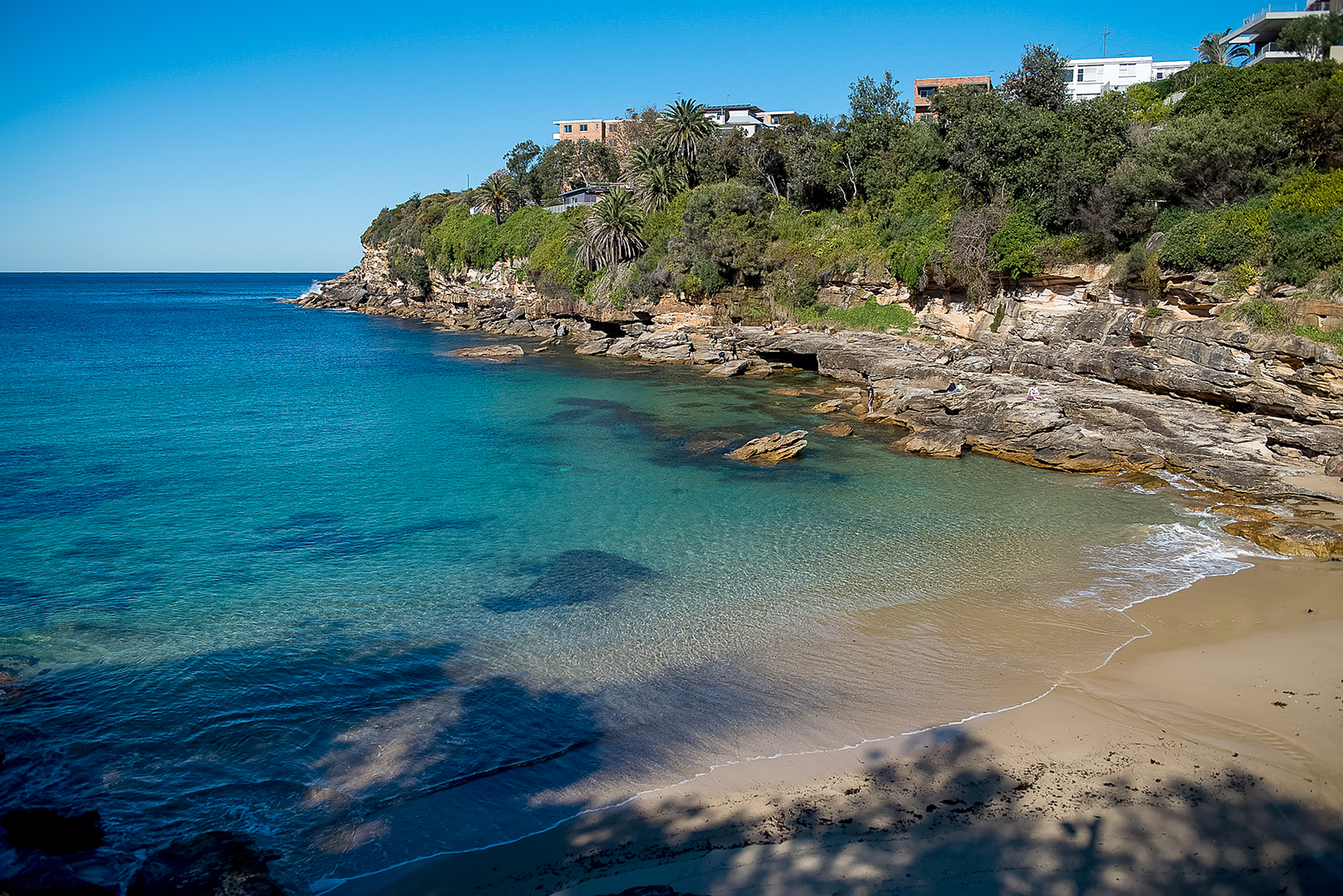 A secluded beach curves along a rocky, tree-lined coastline in Sydney