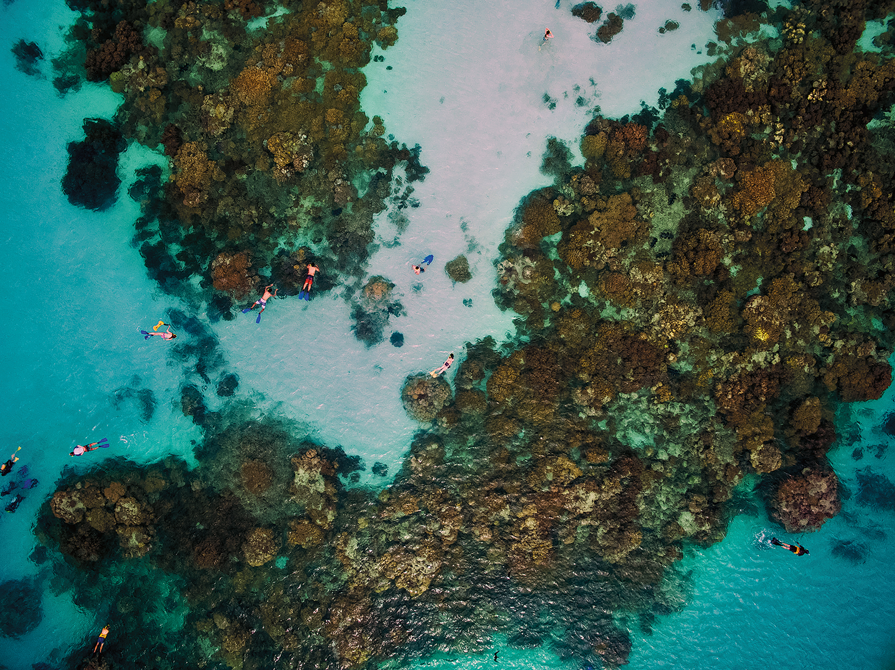 best shoes for coral reef
