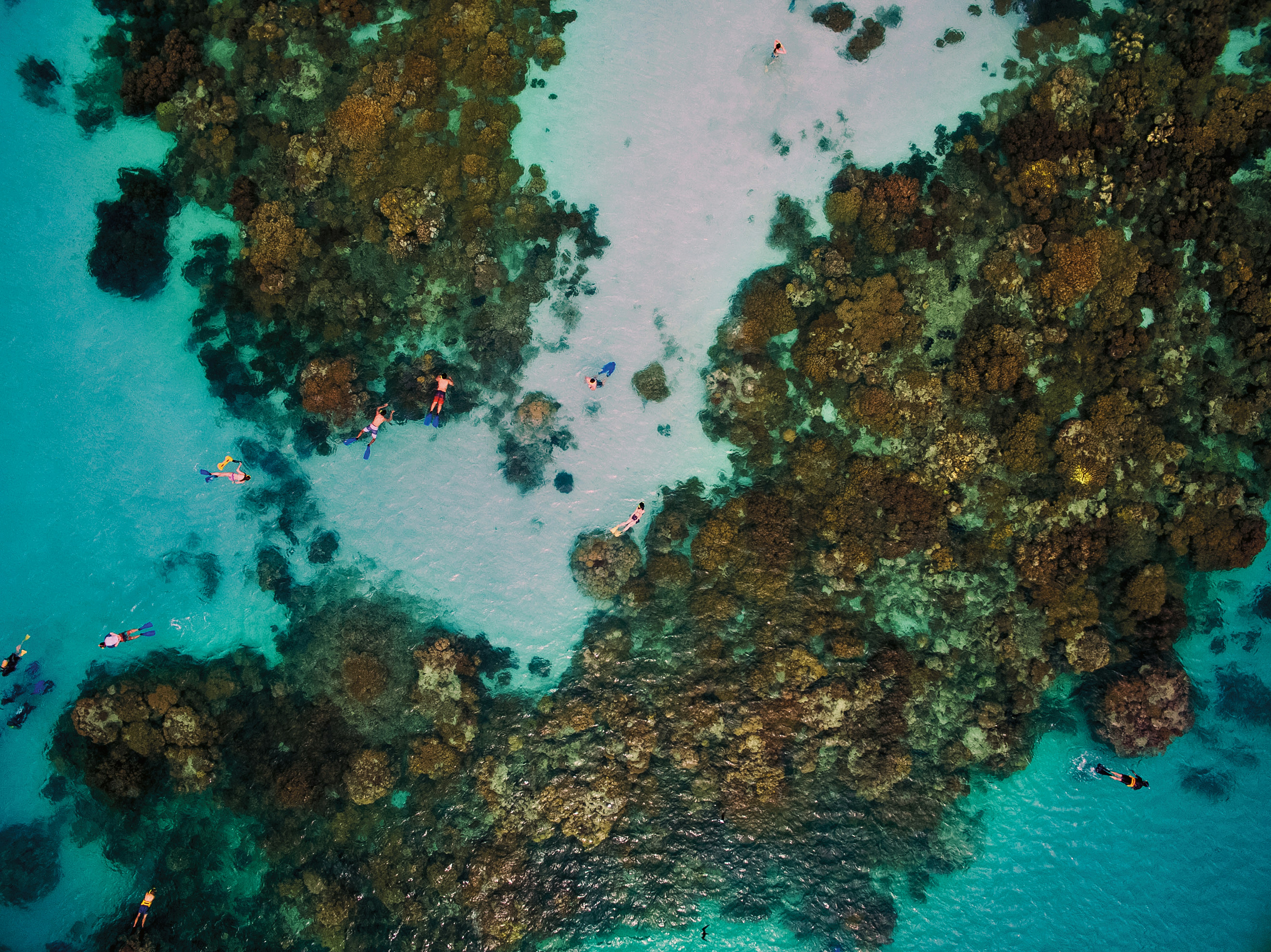 Transform Your World