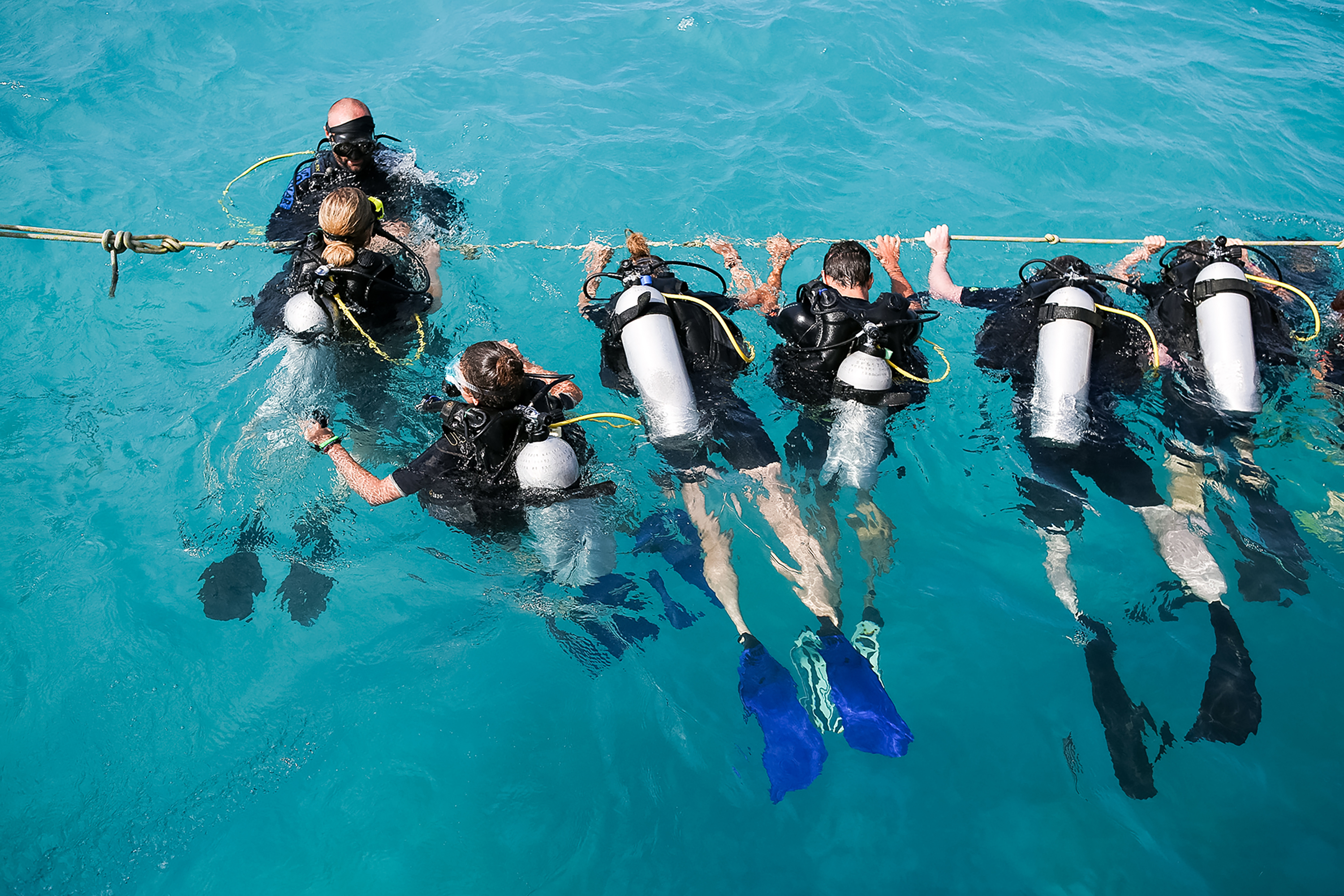 School Trip to Australia: Great Barrier Reef and Rainforest Research
