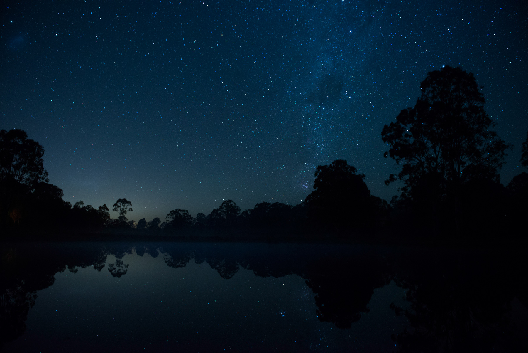 Stars fill the night sky above still water fringed with dark trees