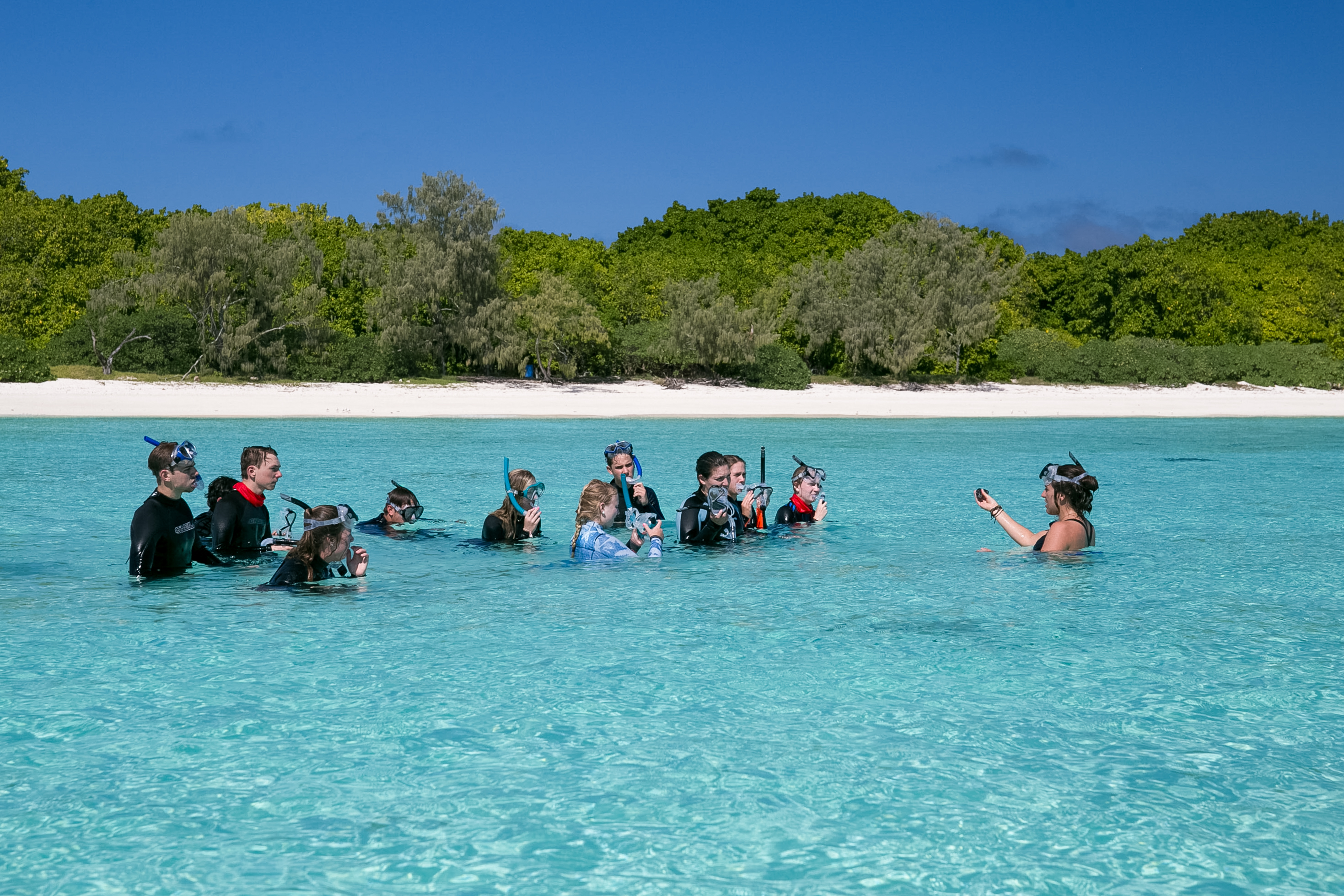 School Trip to Australia: Reef and Rainforest Adventure