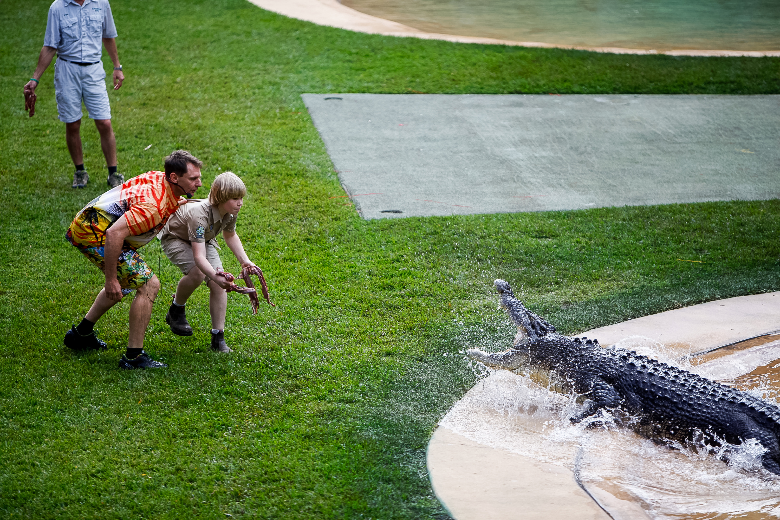 A zookeeper feeds a crocodile leaping from the water as teens watch from the lawn