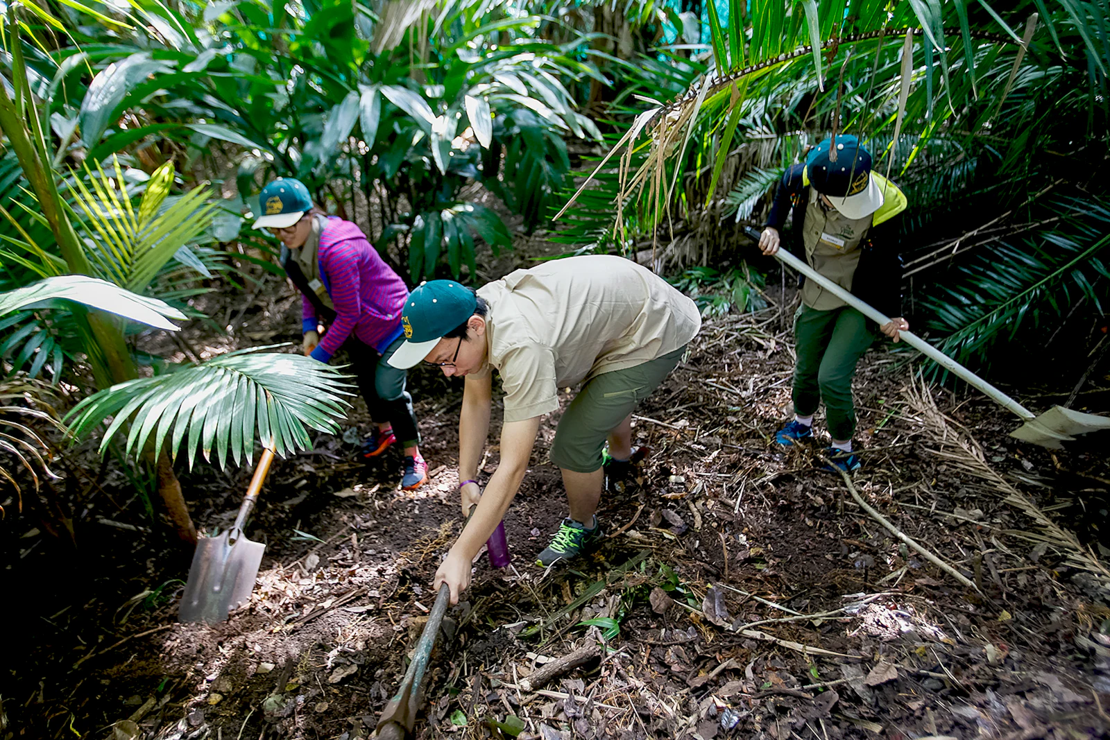 Students in khaki uniforms dig and rake a garden bed among palms and ferns