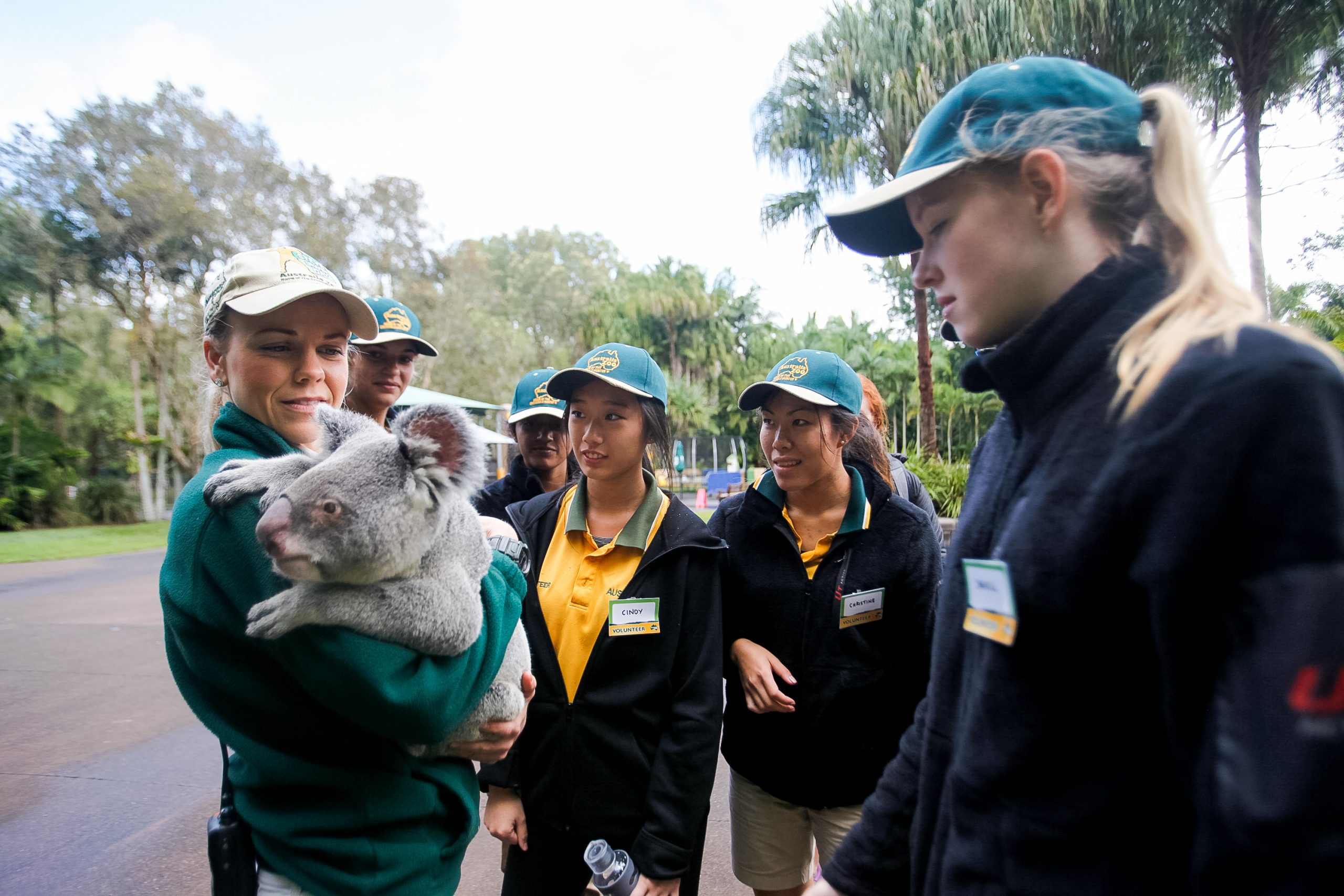 A keeper holds a koala while teen travelers in caps gather around at a wildlife sanctuary in Australia