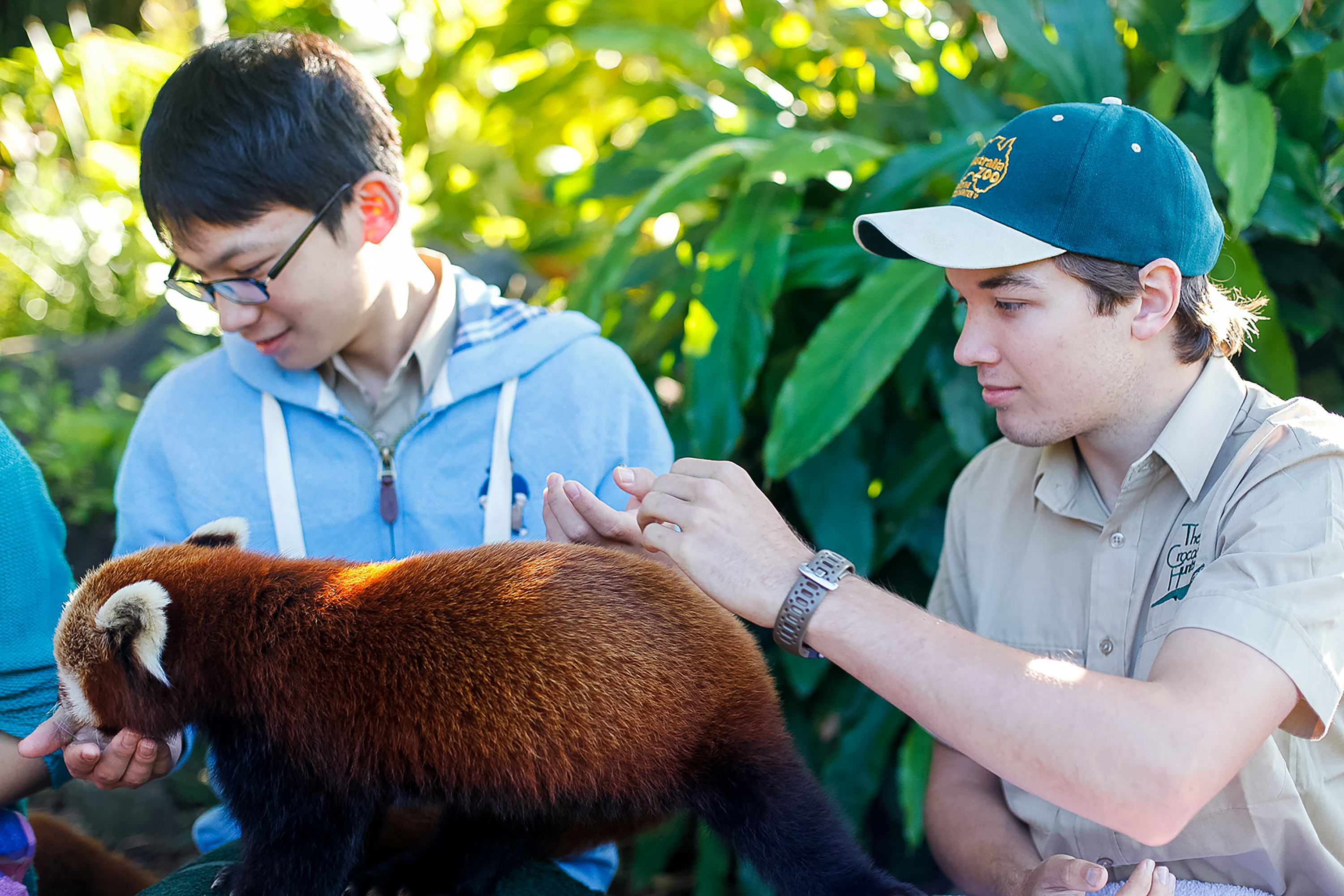 Two boys learning about caring for an animal in Australia.