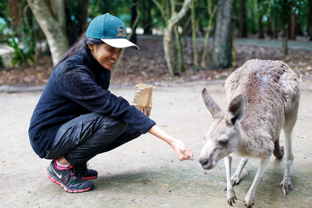 Get to know a variety of wildlife such as kangaroos, wombats, and red pandas.