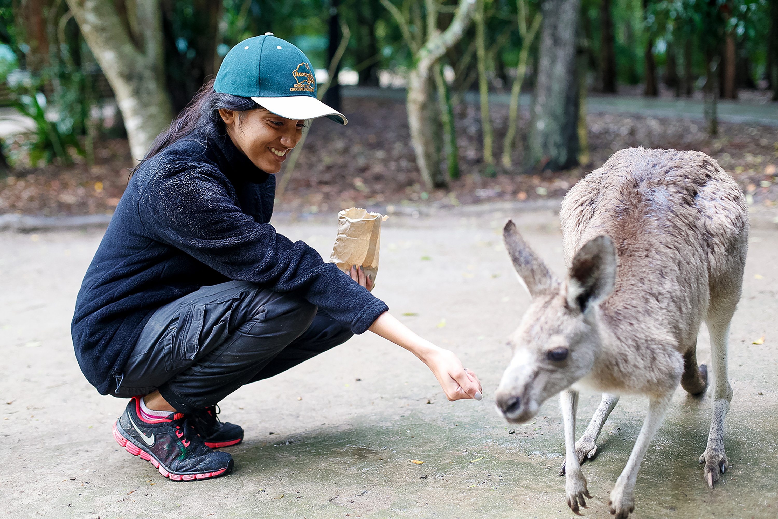 Get to know a variety of wildlife such as kangaroos, wombats, and red pandas.