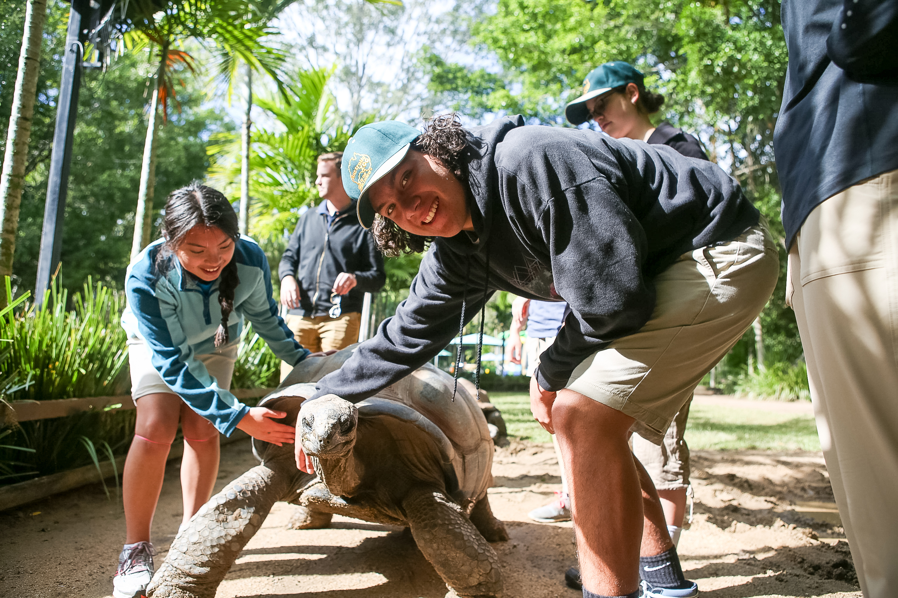 Students pet a giant tortoise at a zoo in Australia