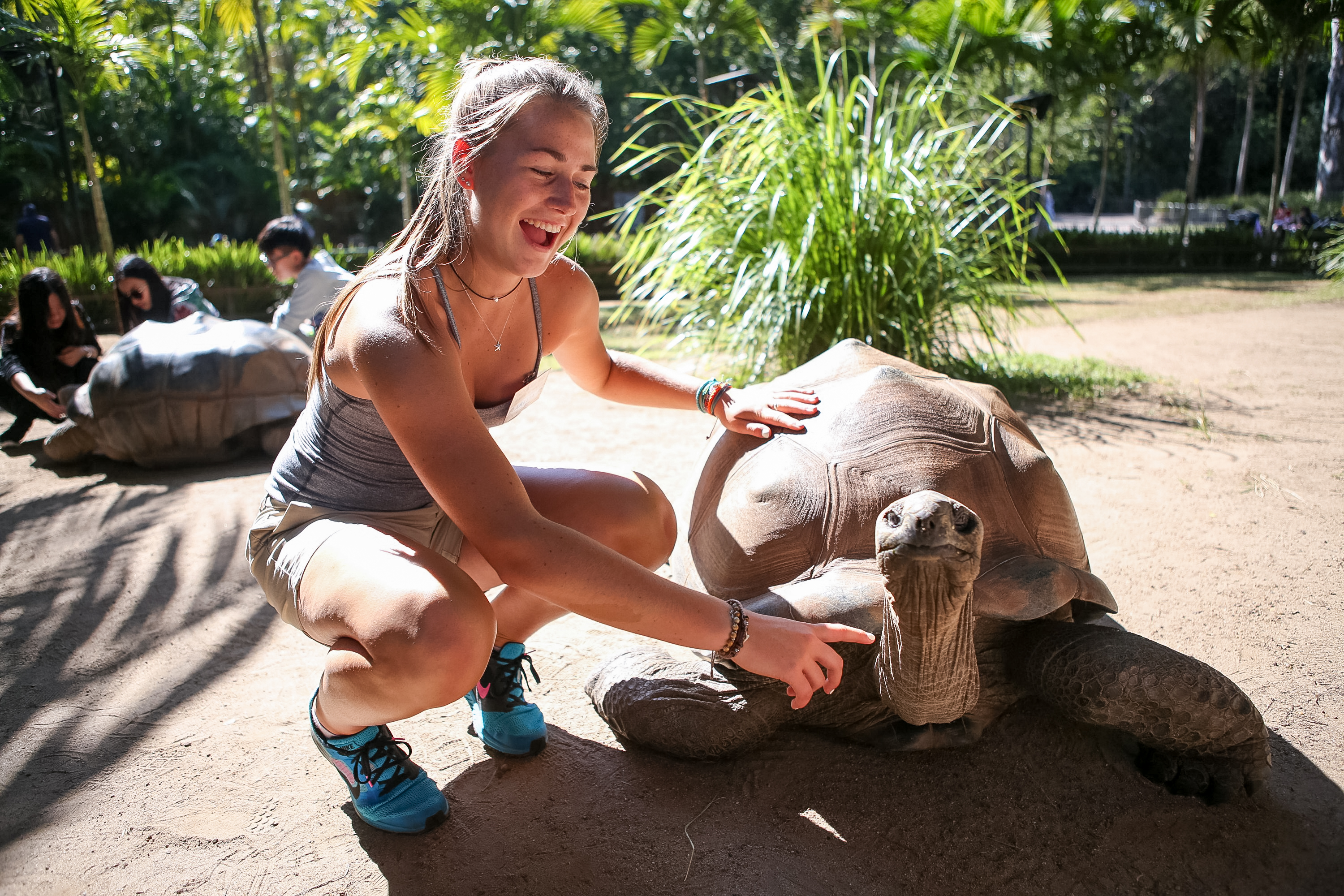 A student in Australia laughs while crouching to touch a giant tortoise