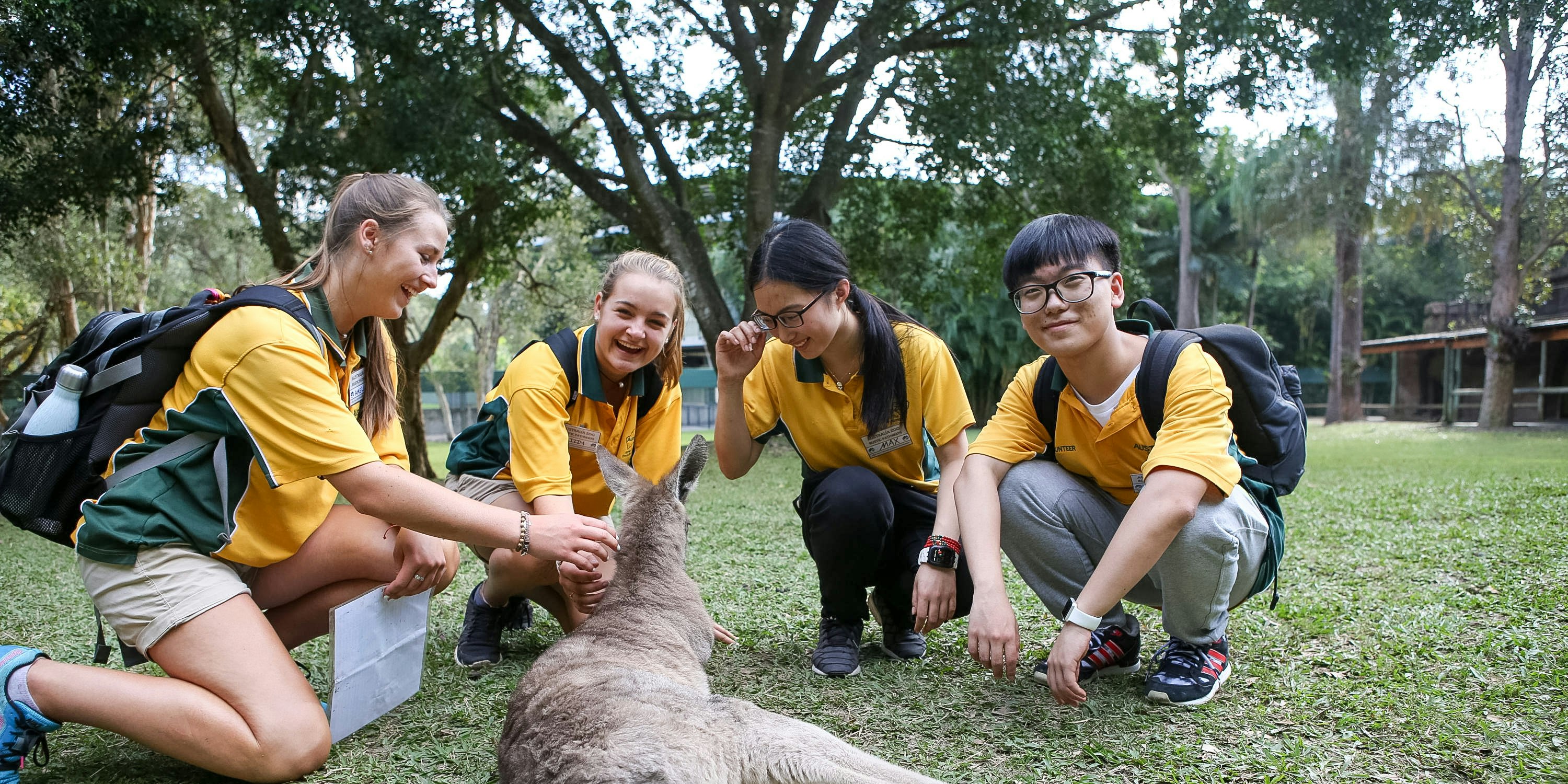 Koalas, Kangaroos and More: Learning about Animal Conservation in Australia