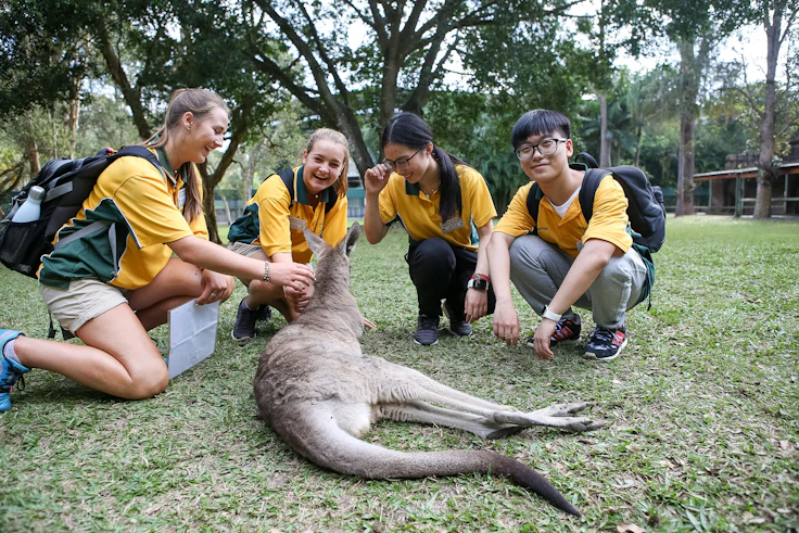 Students in yellow shirts crouch on the grass beside a resting kangaroo in Australia