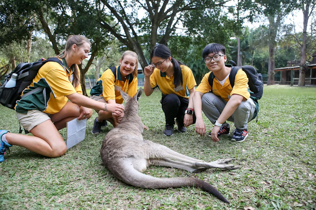 Students in yellow shirts crouch on the grass beside a resting kangaroo in Australia