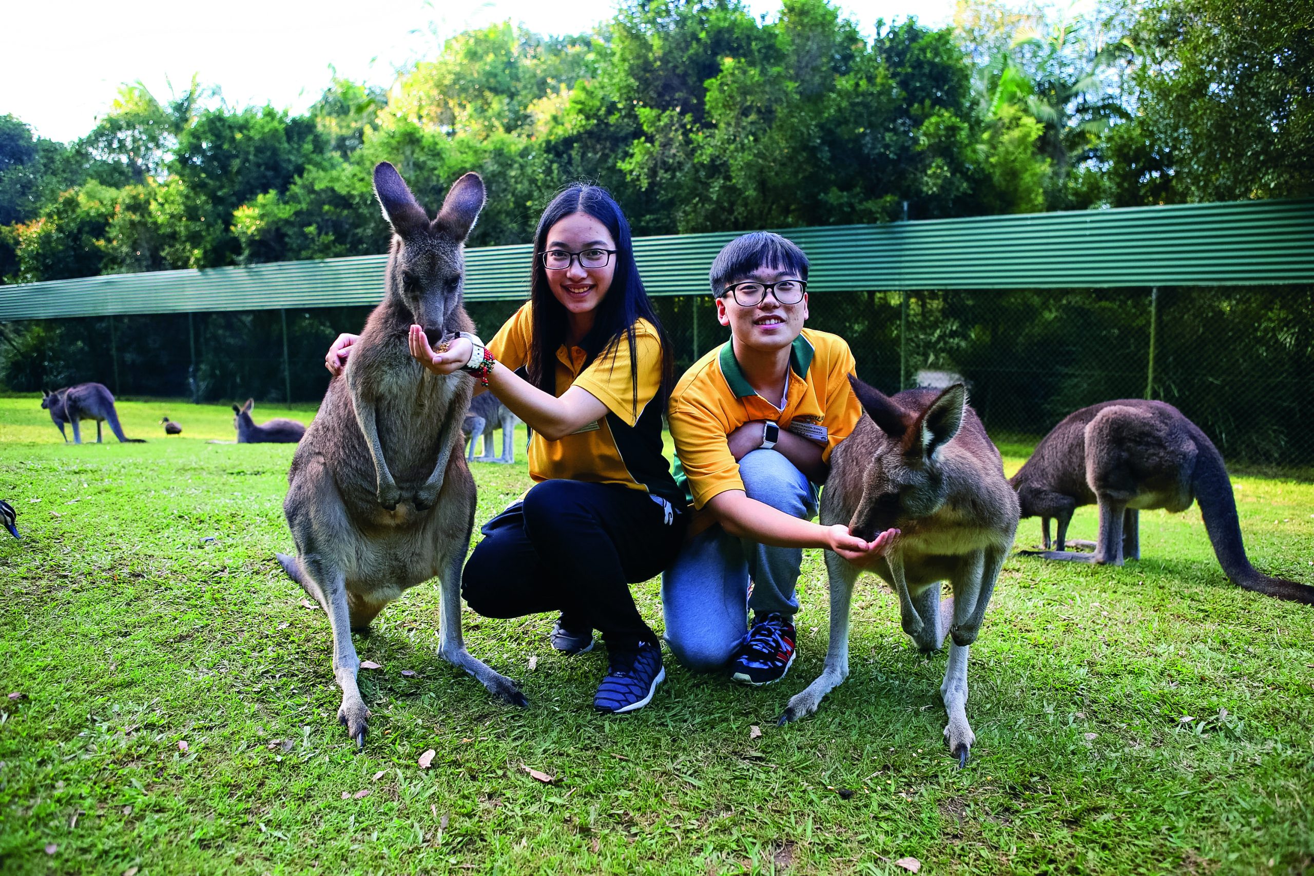 Students kneel beside kangaroos on grass at a wildlife sanctuary
