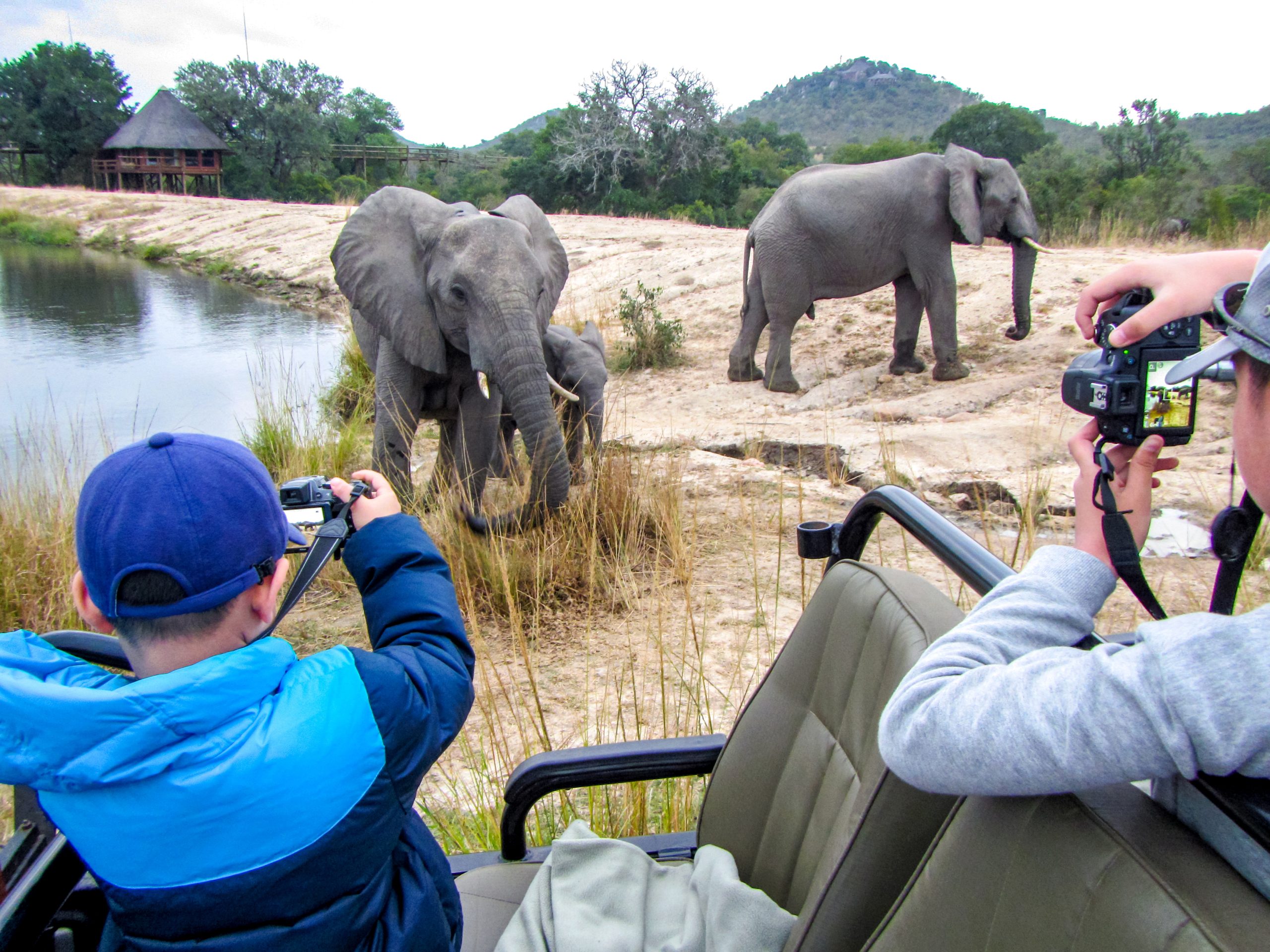 Students photograph elephants from a safari vehicle near a river