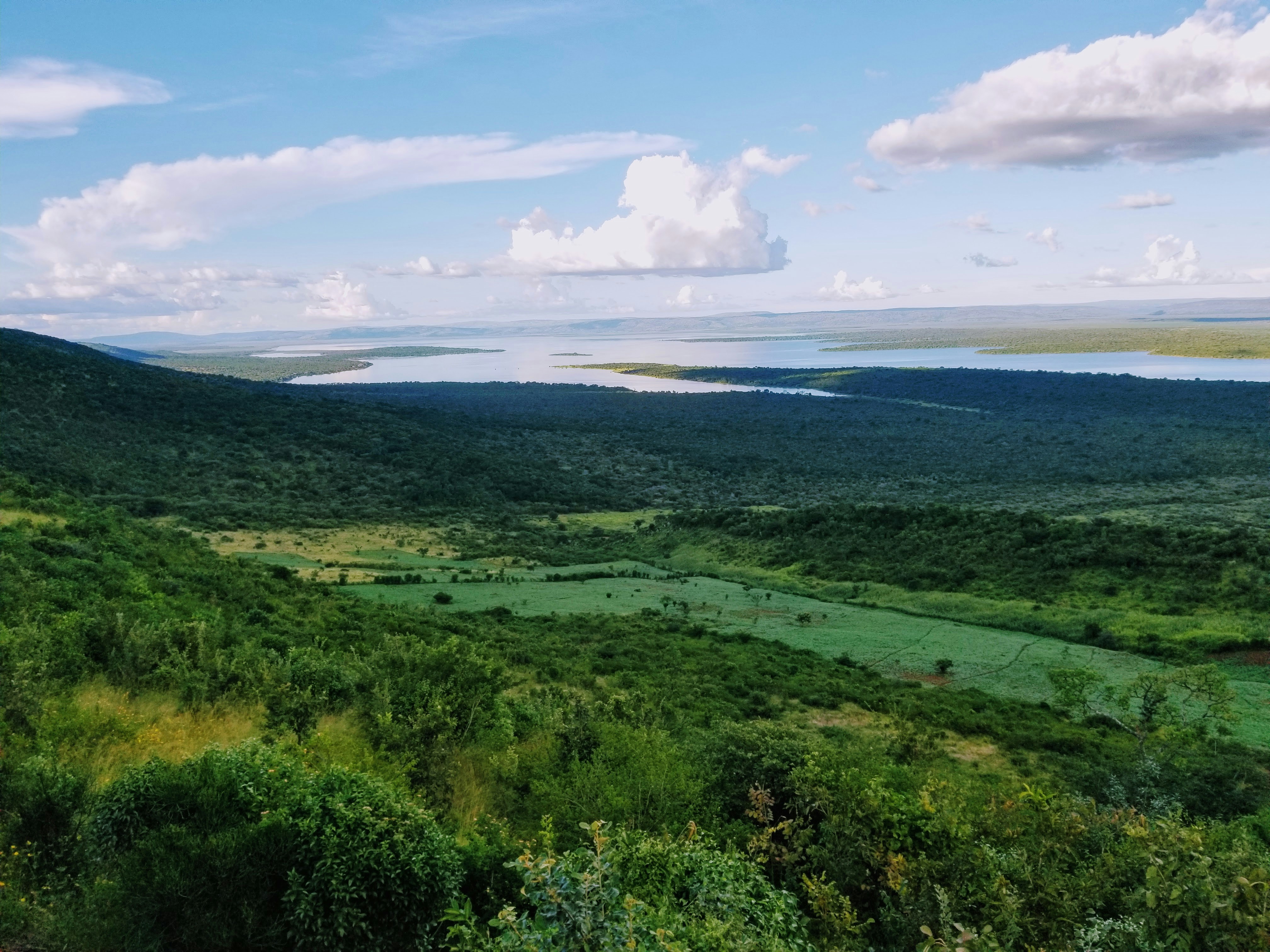 Green savannah hills in Akagera National Park sloping down to a lake under a blue sky with scattered clouds.