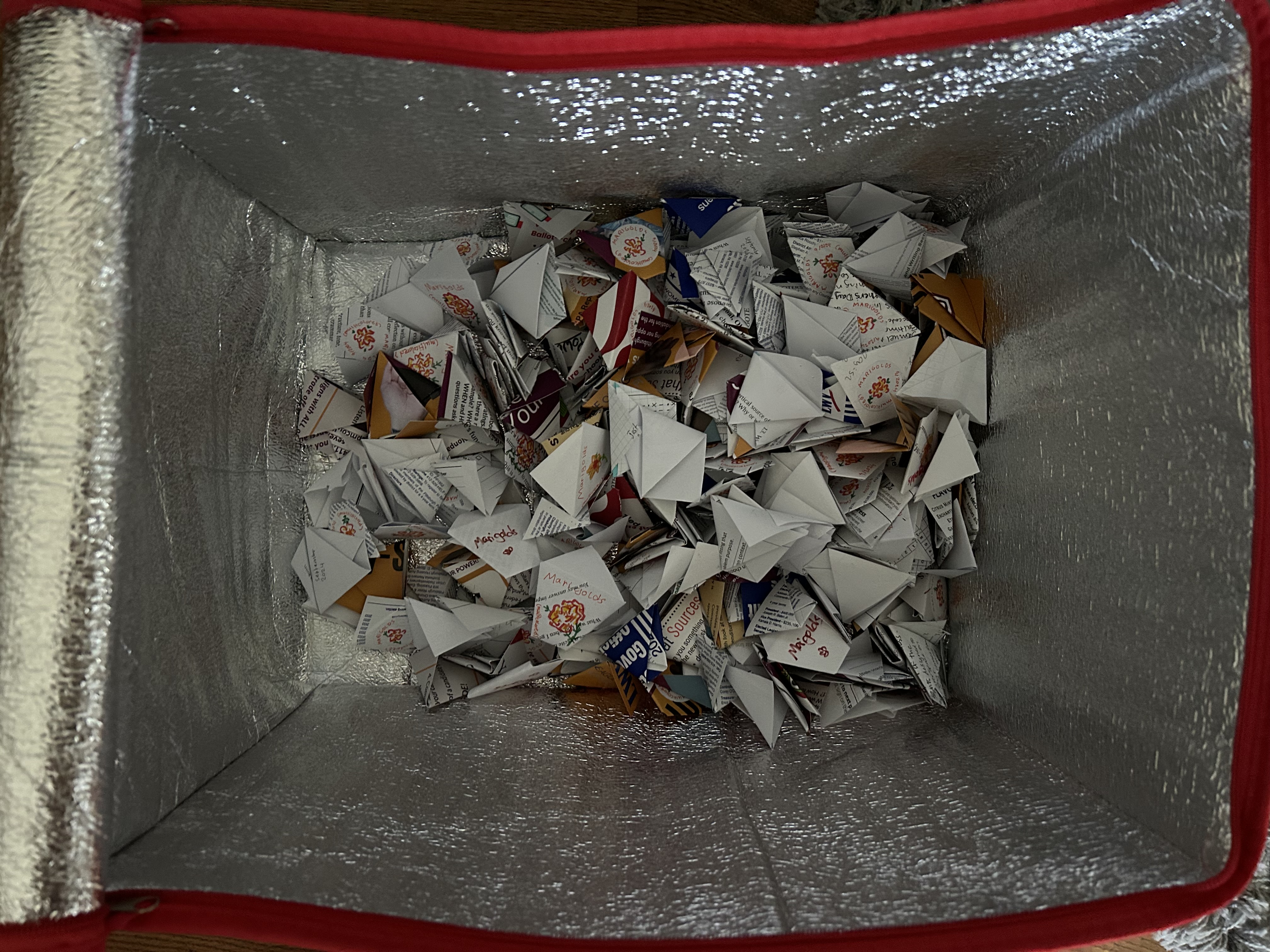 Alice Bussler - Bringing the seeds of awareness to local communities: how one garden can create thousands - Image 4