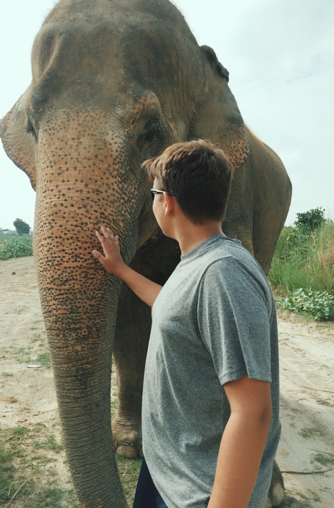 Boy gently touching an elephant's trunk in an open field.