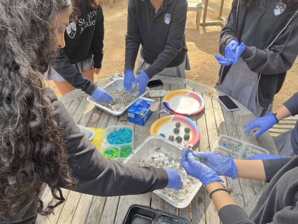 Avani Yaltho - Sprouting Change: One Seed At A Time - Image 1