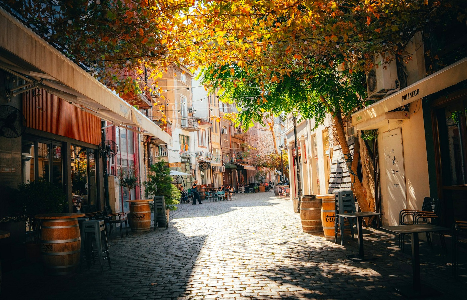 A cobbled street in Plovdiv's Kapana district lined with cafe fronts under autumn trees.