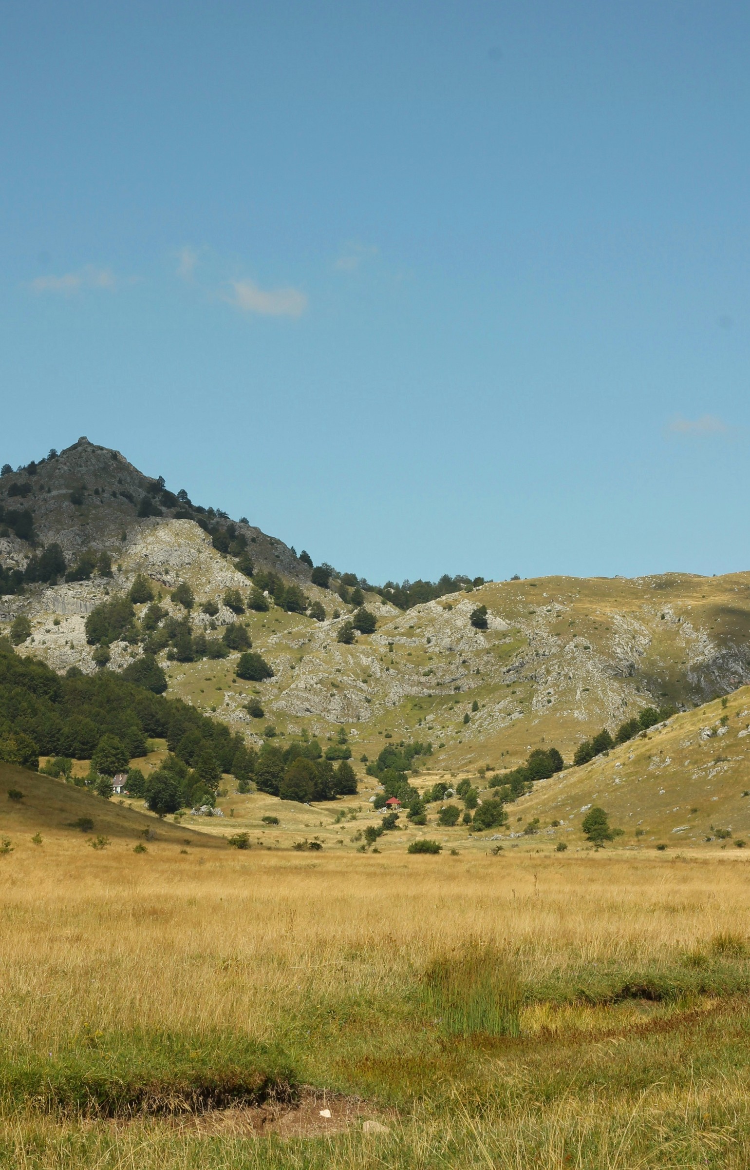 A bare limestone ridge rising above open grassland in the mountains of Bosnia and Herzegovina.