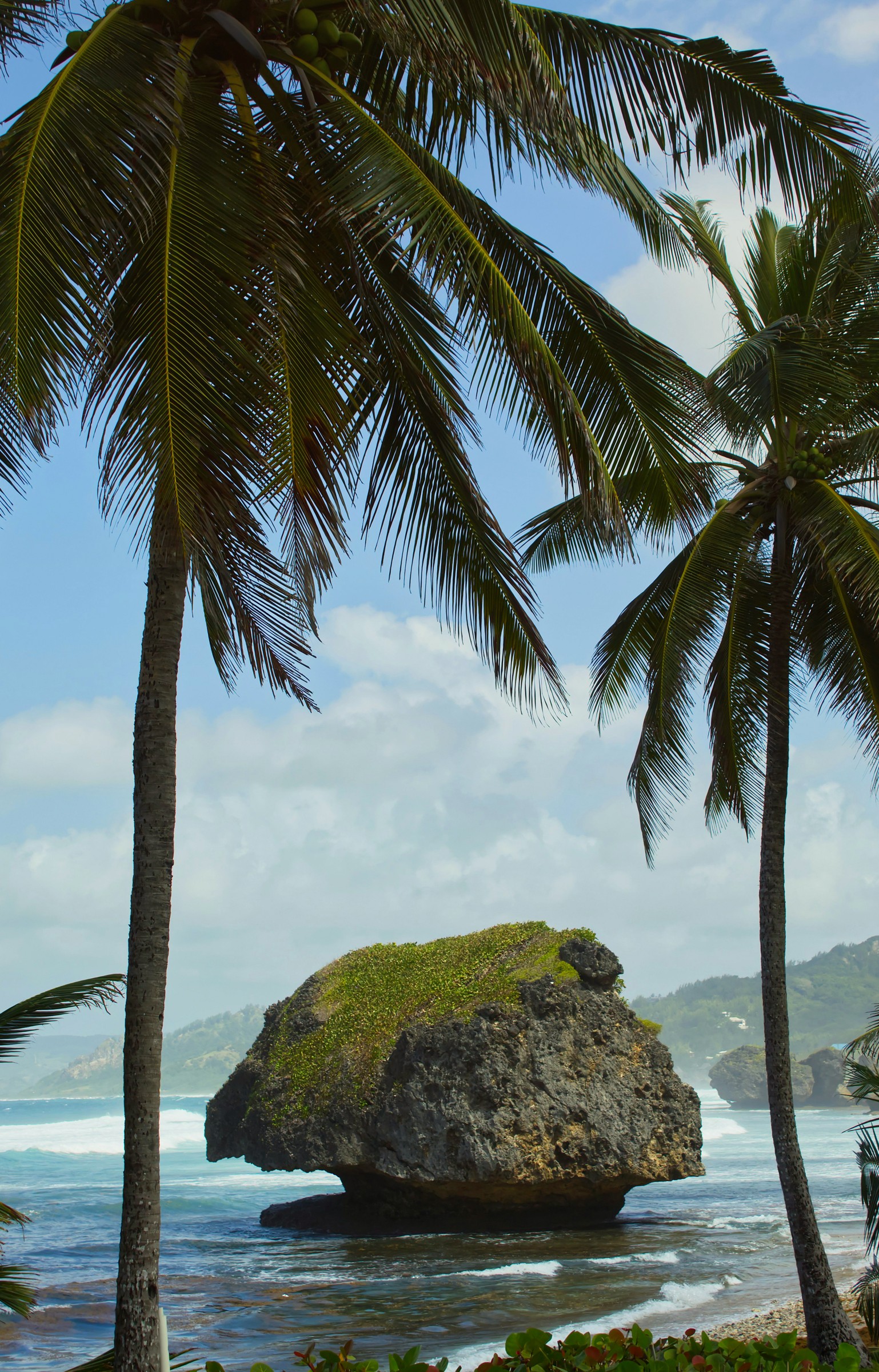 A mushroom-shaped rock standing in the surf at Bathsheba on the east coast, framed by coconut palms.