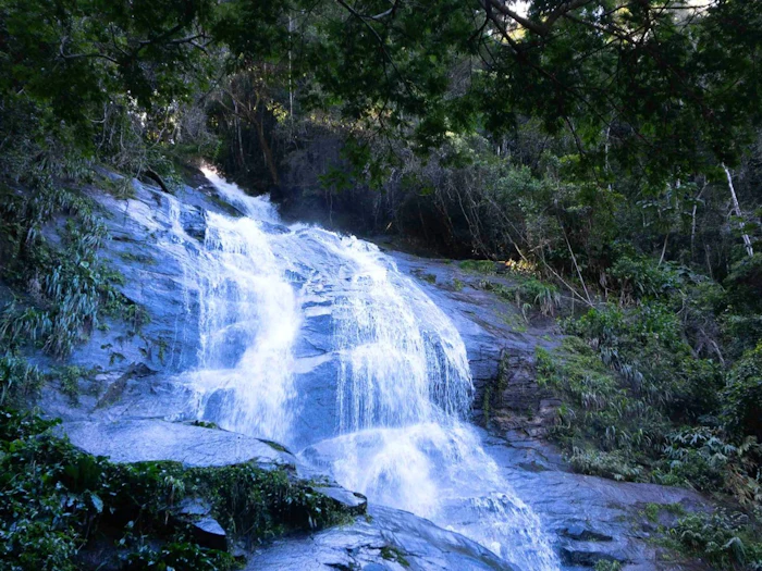 A waterfall in Tijuca National Park dropping over mossy rock through the forest canopy.
