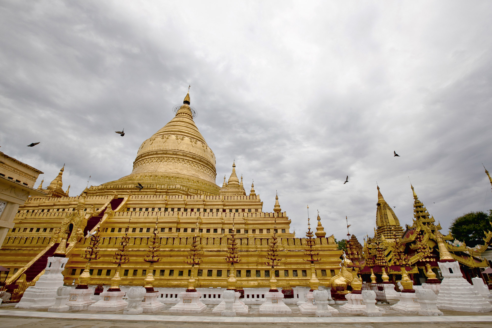 On a school trip, students view a golden pagoda with tiered spires beneath a cloudy sky, birds flying overhead