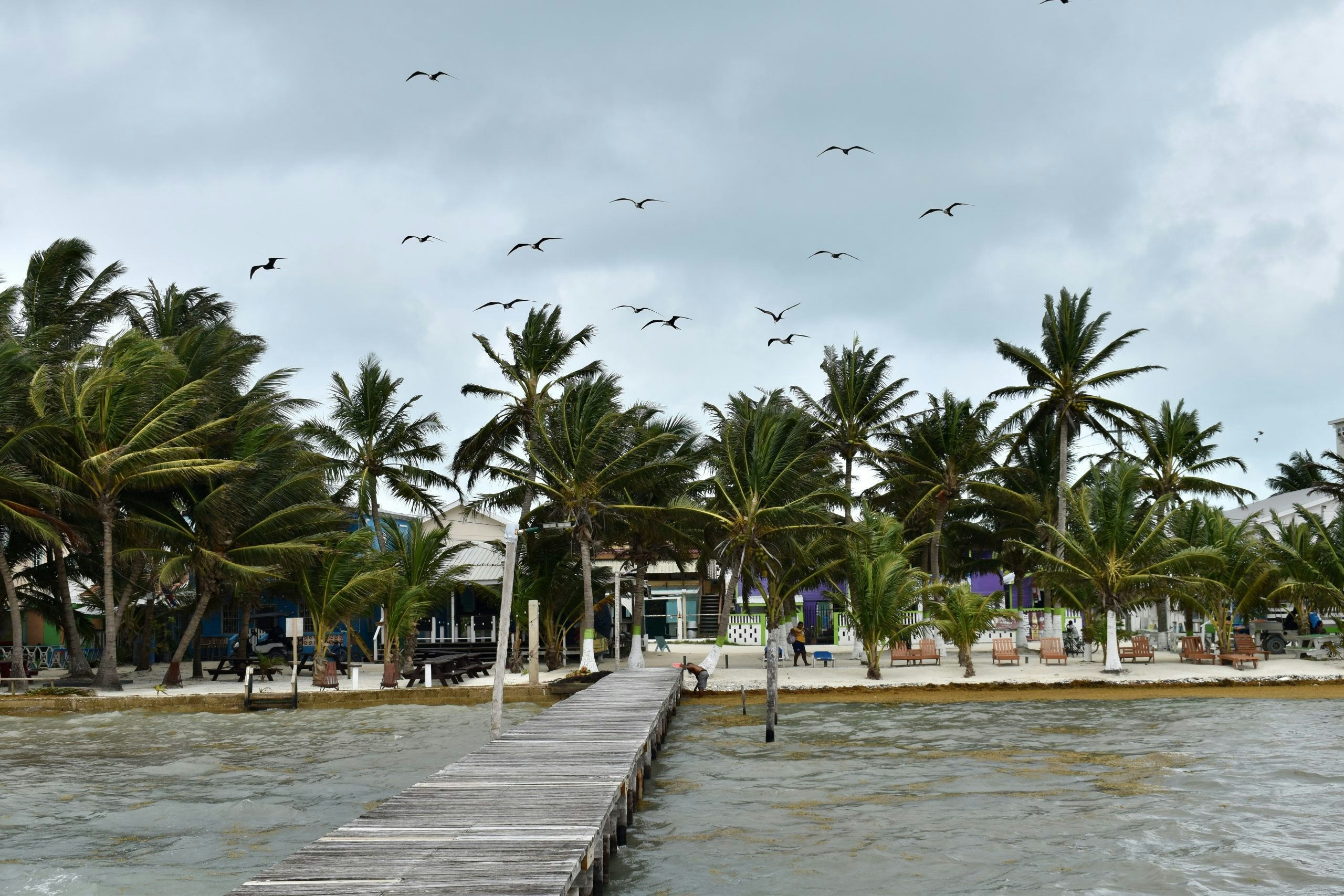 Belize: Caribbean Reefs & Mayan Culture (Winter & Spring Break)