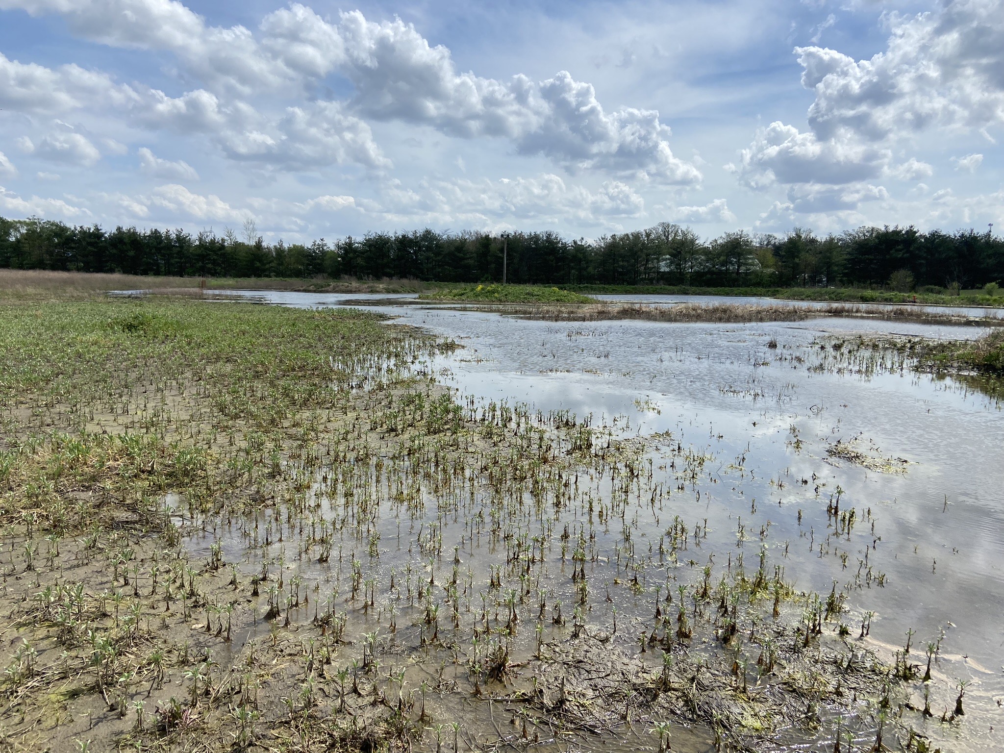 Barron Smith working on his project