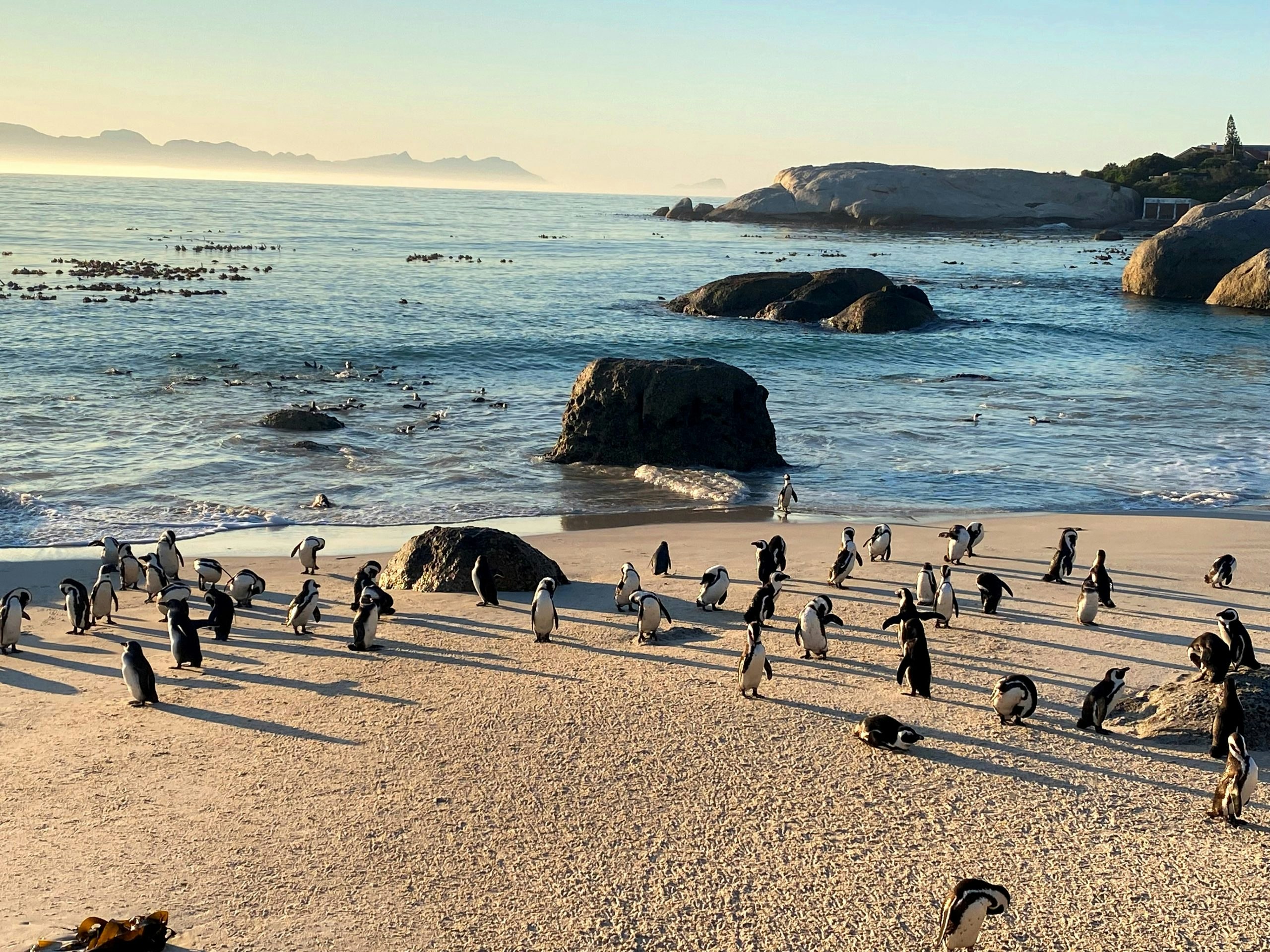 Volunteer Abroad Costs: How Much Does It Cost?