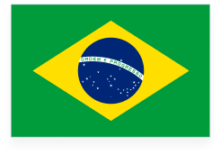 Brazil Flag Icon for Fun Facts About Brazil Table of Contents header