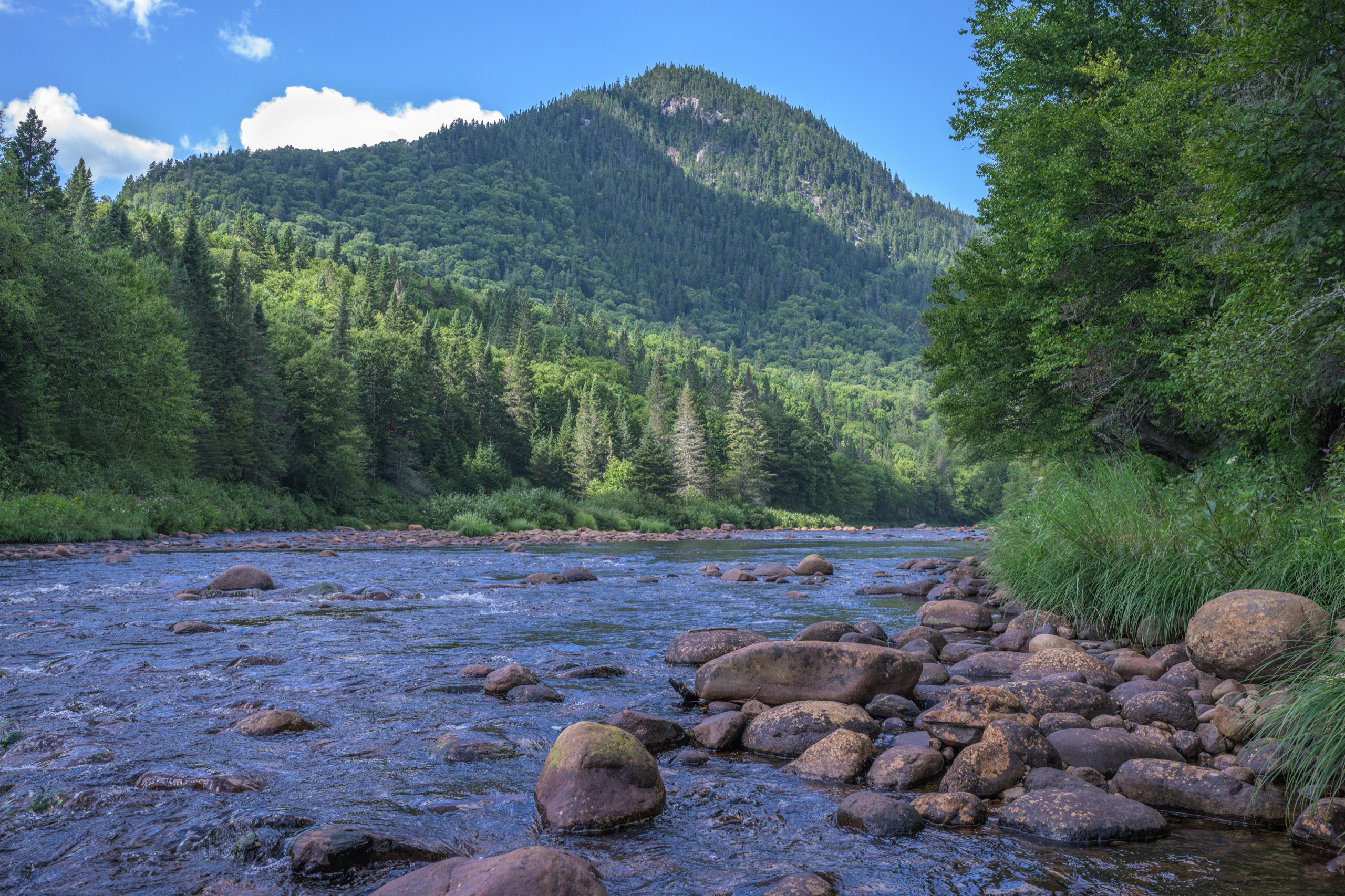 The Rivière Sautauriski runs through the forested valley of Parc national de la Jacques-Cartier, Québec.