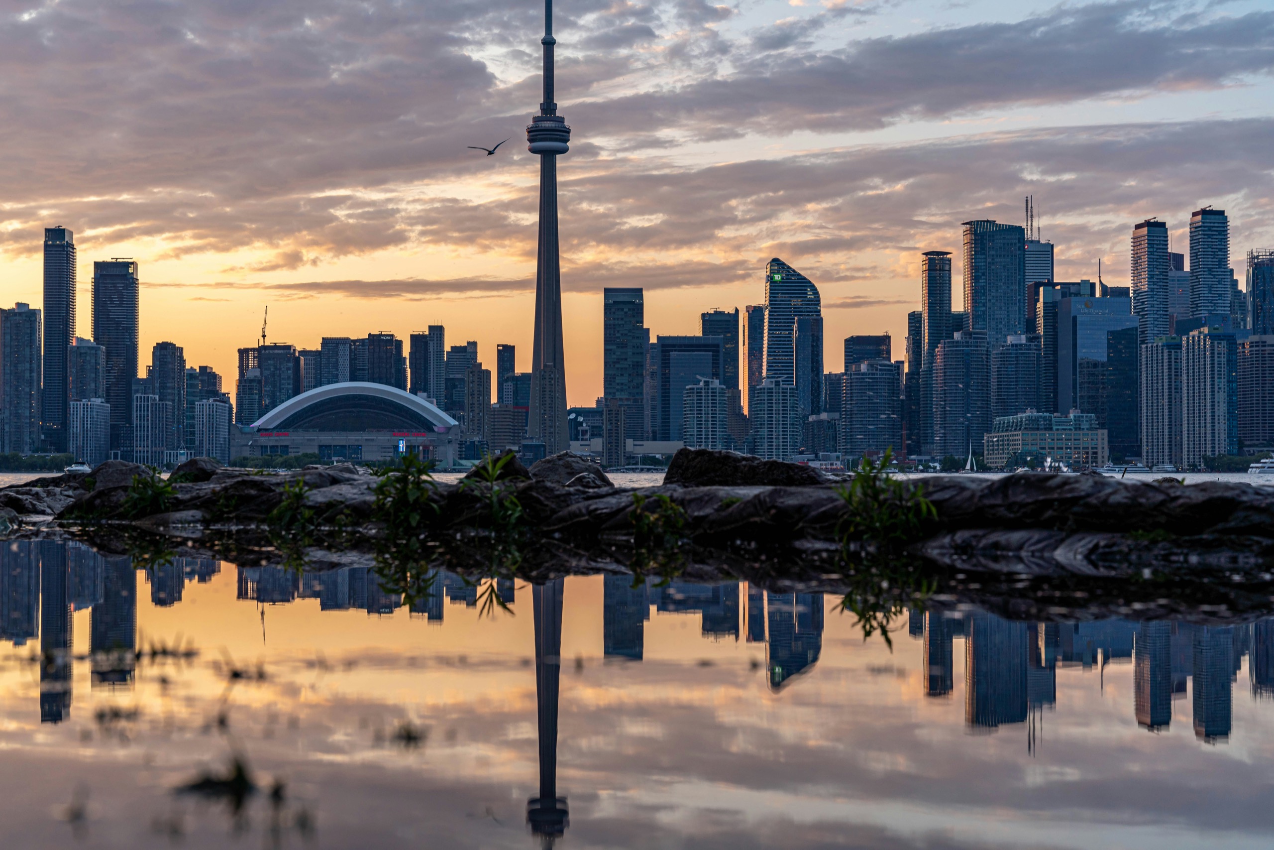 The Toronto skyline and CN Tower reflected in the water, seen from Toronto Island.