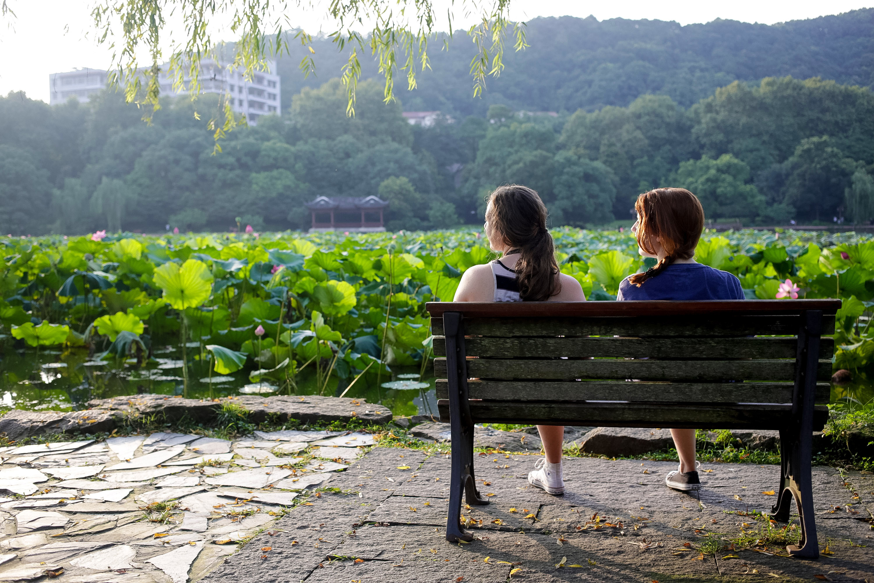 Students sit on a bench overlooking a lotus pond with hills in the background