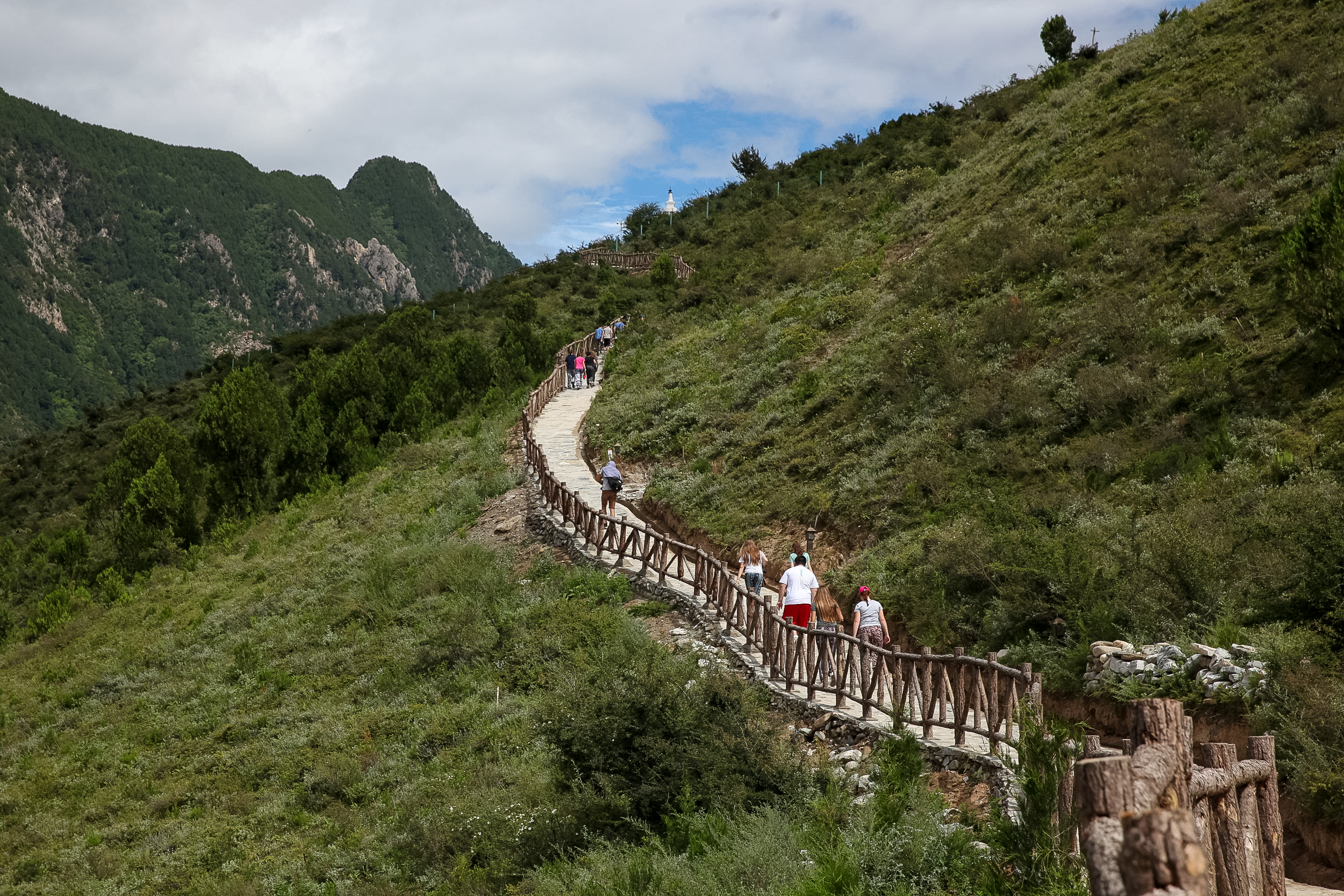 A stone stairway with a wooden handrail switchbacks up a steep green mountainside, with walkers spread out along it.