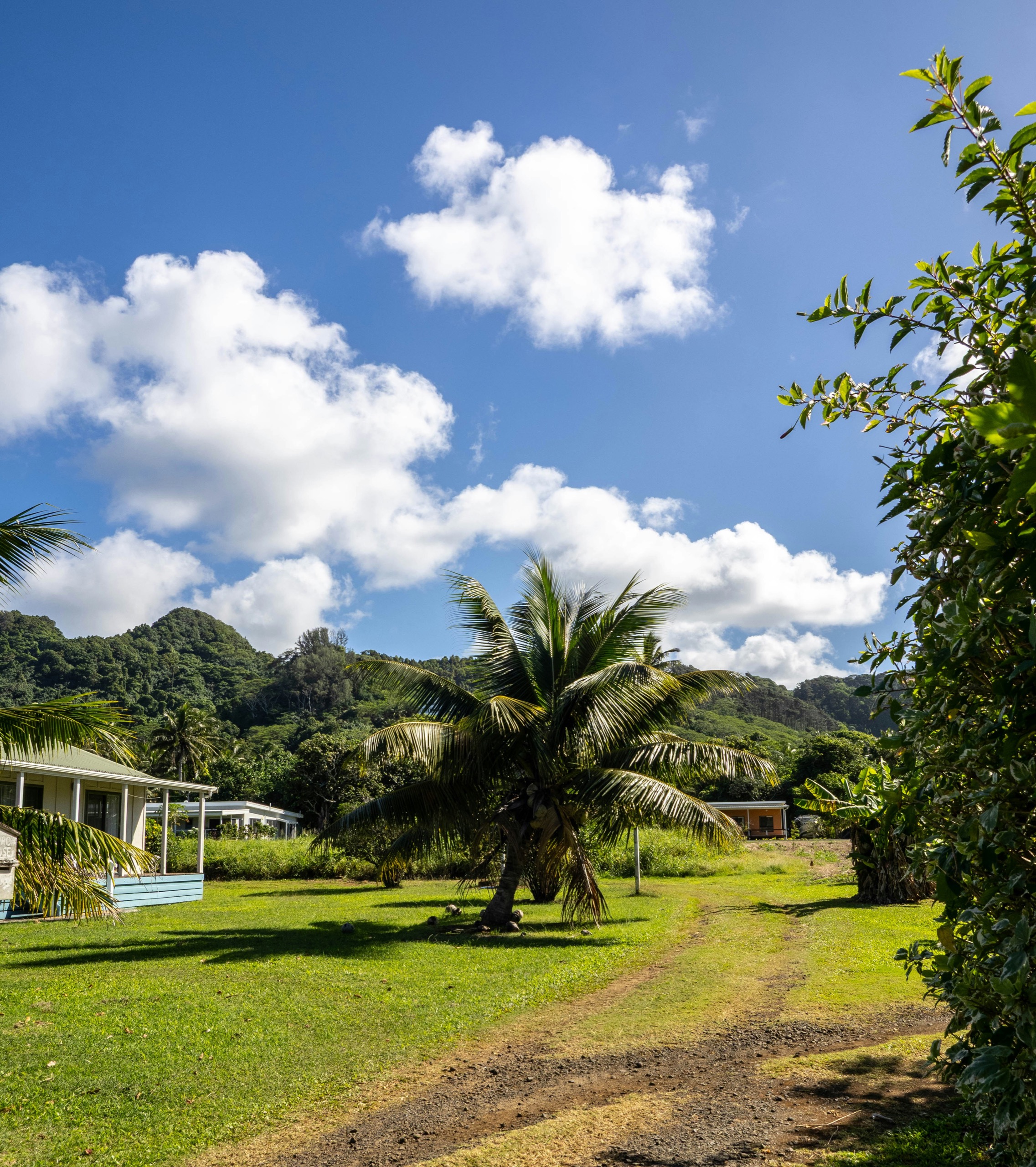 A quiet village scene of bungalows and a coconut palm against a green hillside.
