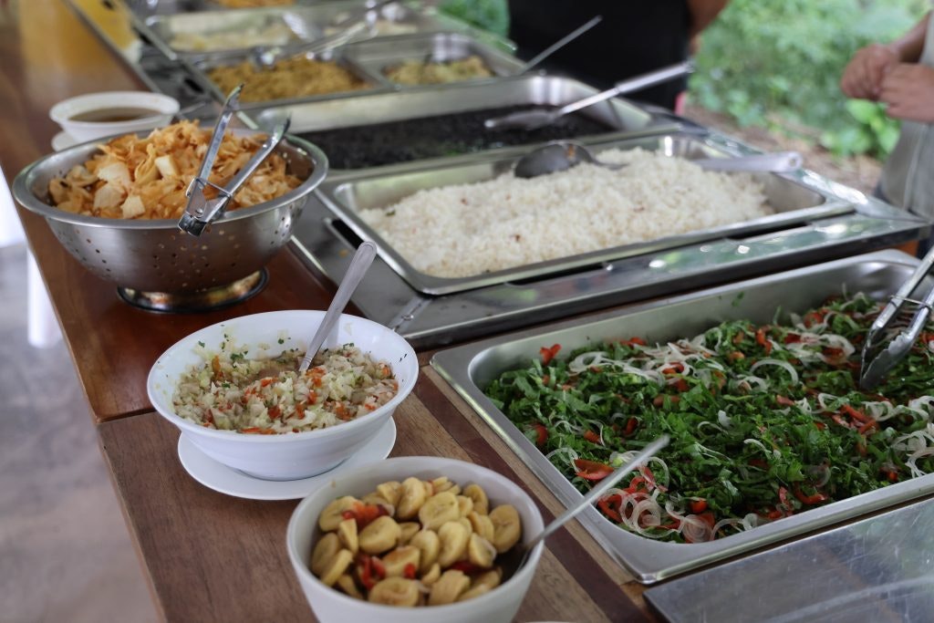 Photo of the food served at the program trip. Looks like a typical cafeteria layout with the foods in different containers ready to be served. We can see rice, salad and some small side dishes in smaller bowls in front.