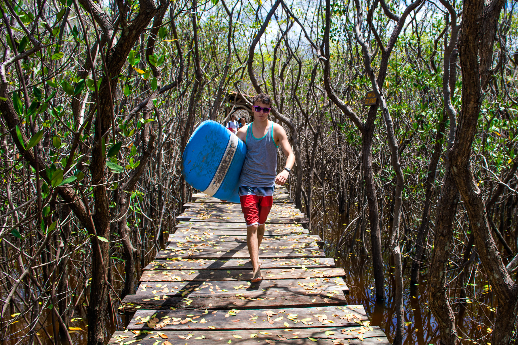 A student carries a surfboard across a wooden boardwalk through mangroves
